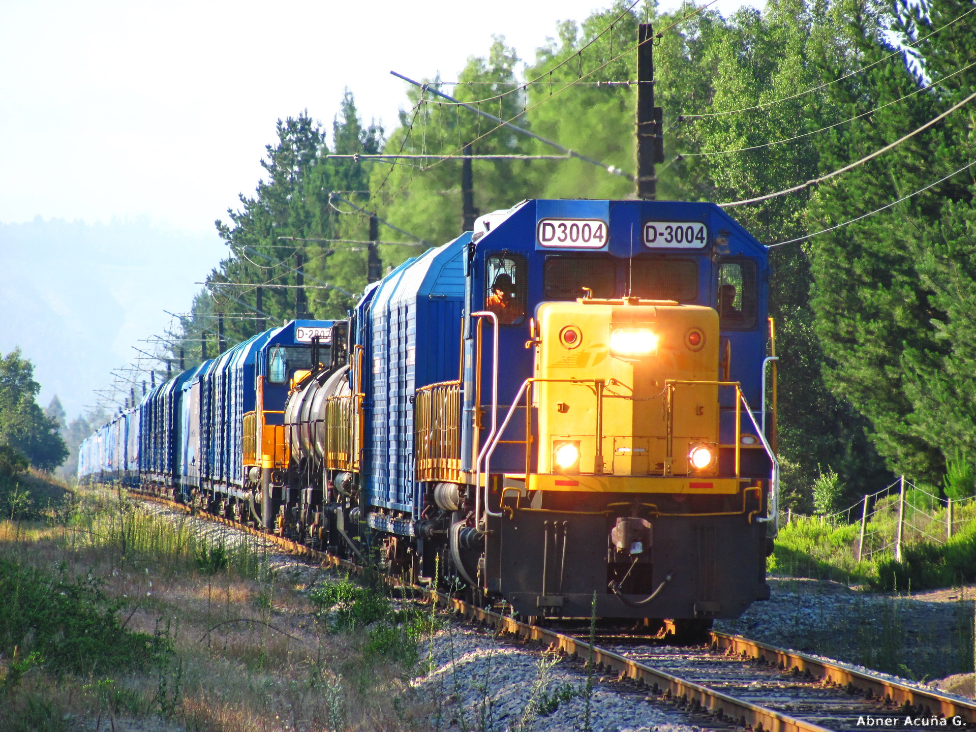 EMD SD40 M2 Chile – photo 6