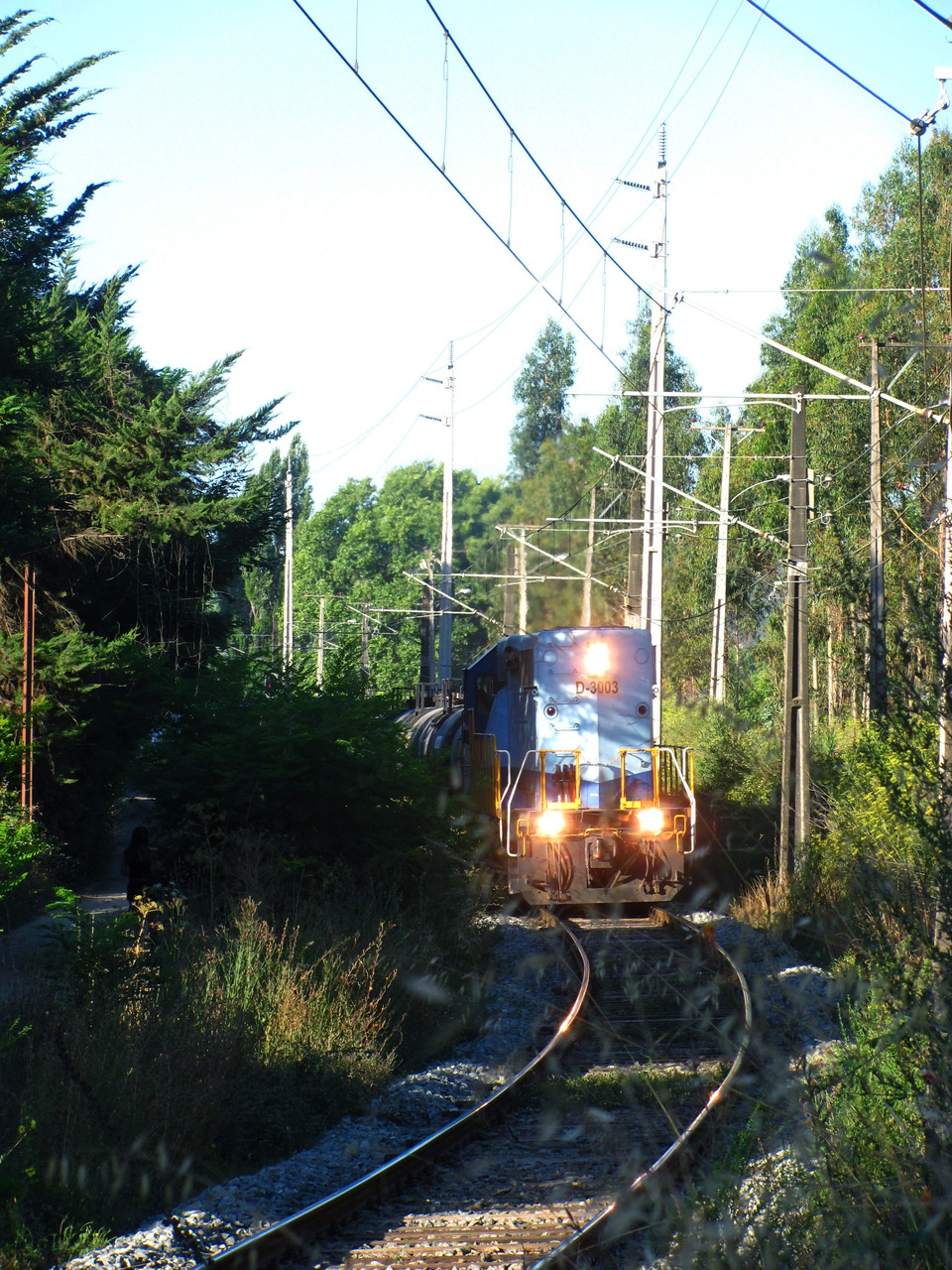EMD SD40 M2 Chile – photo 5