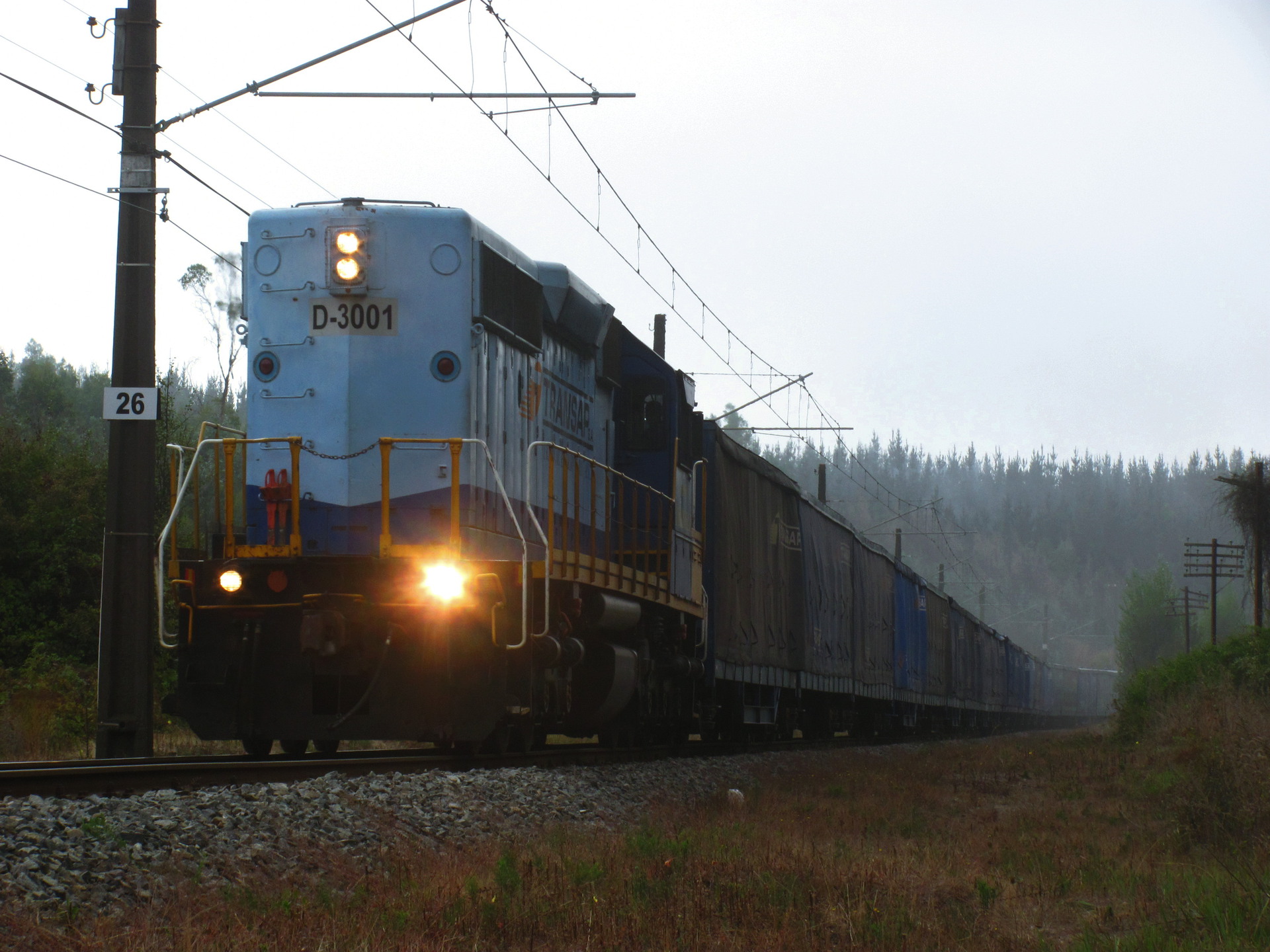 EMD SD40 M2 Chile – photo 3