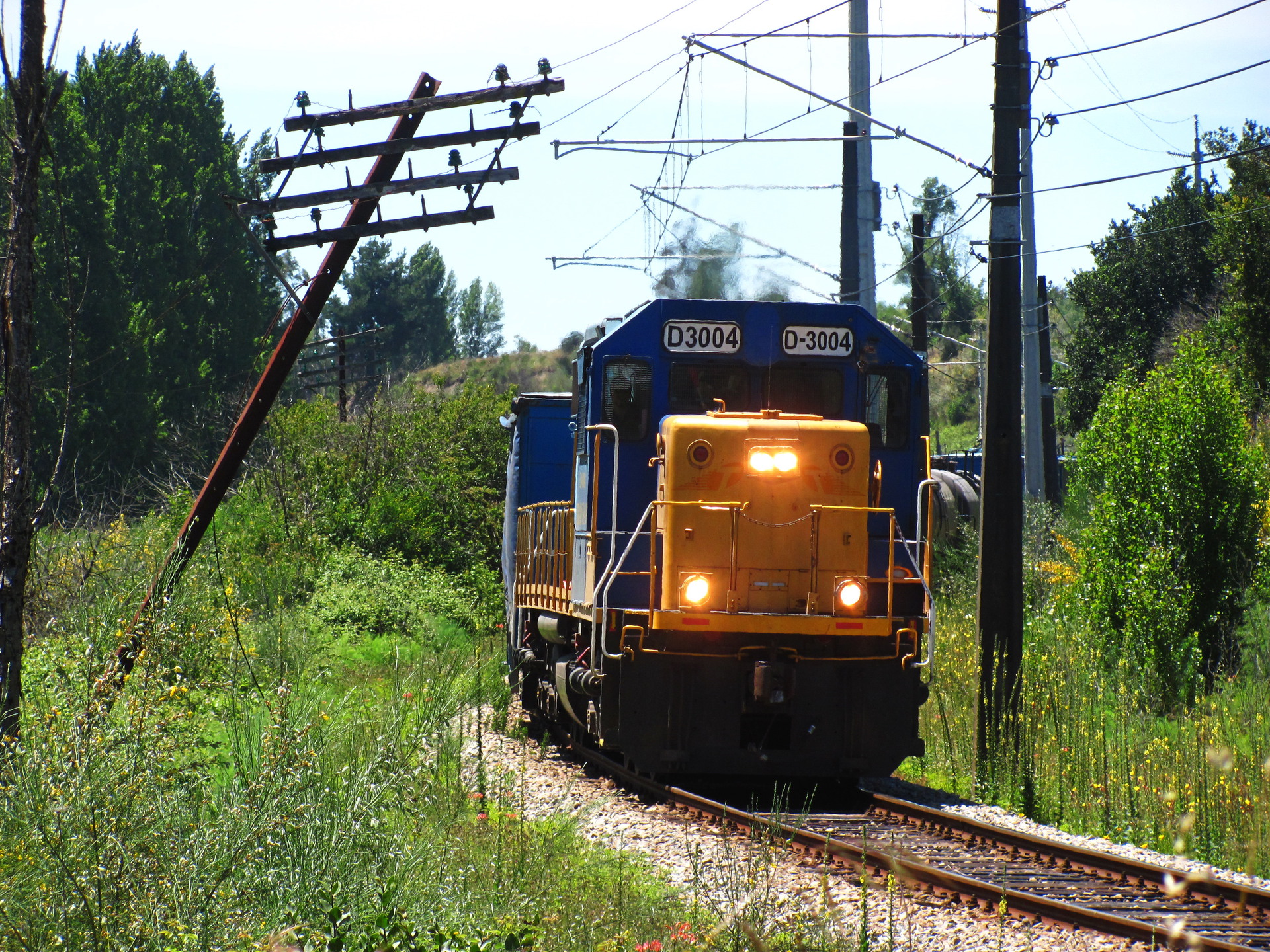 EMD SD40 M2 Chile – photo 4