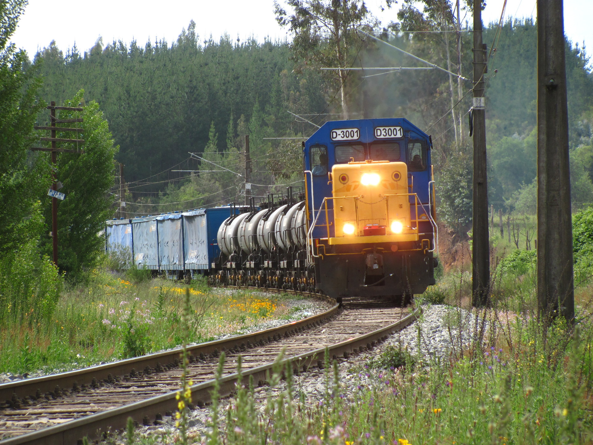 EMD SD40 M2 Chile – photo 7