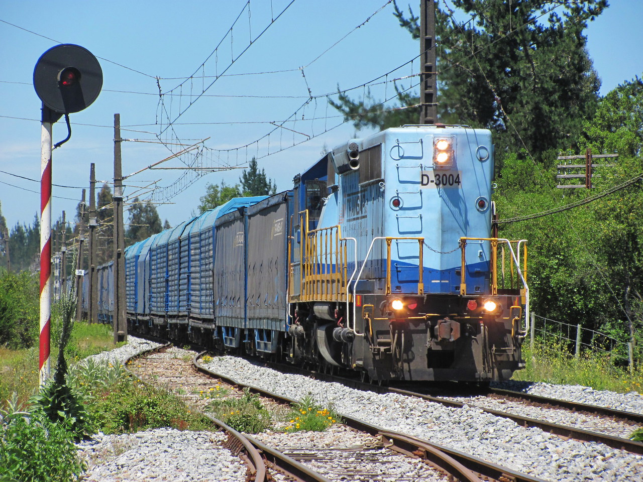 EMD SD40 M2 Chile – photo 11