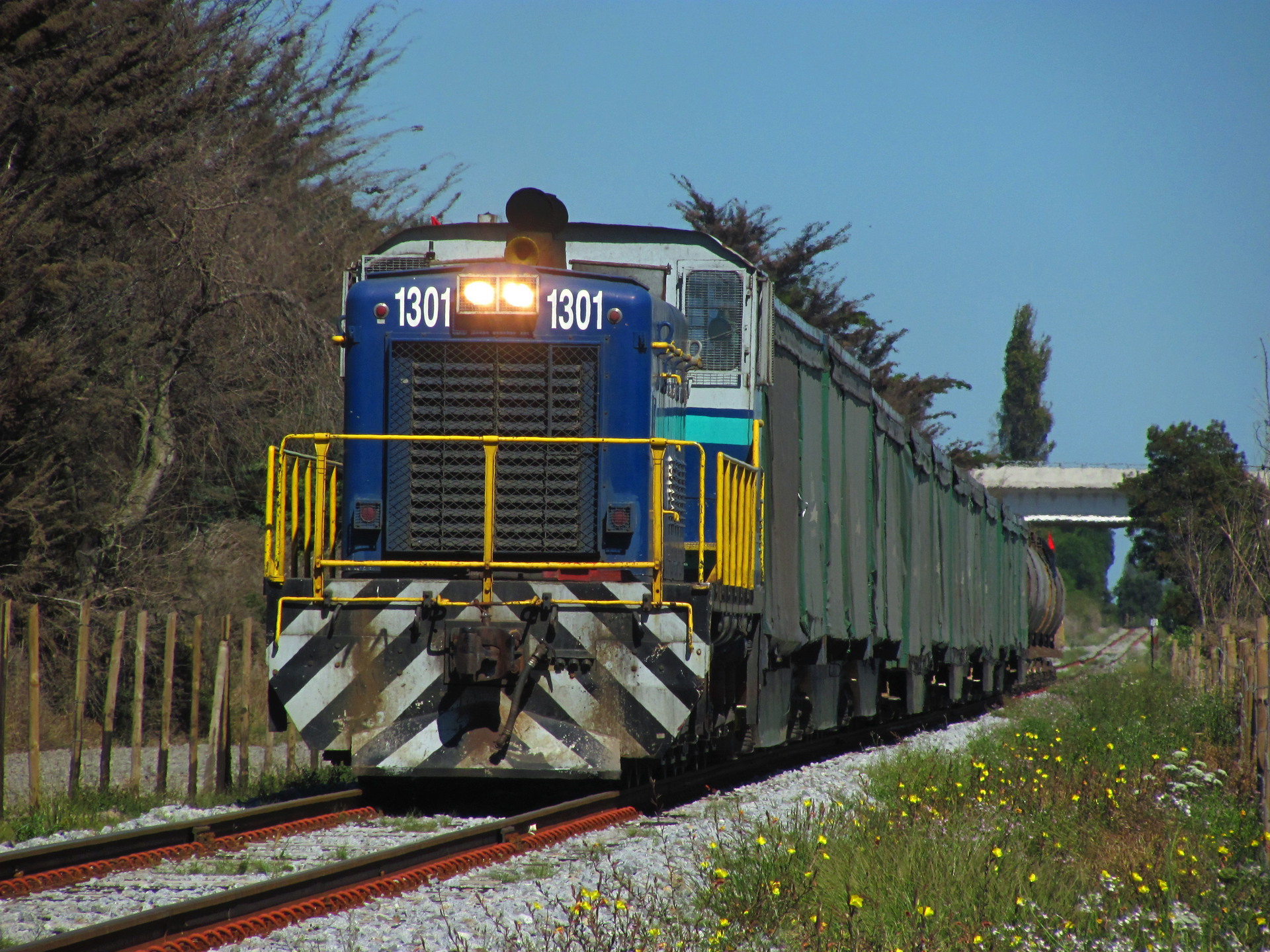 EMD SW1200 – photo 2