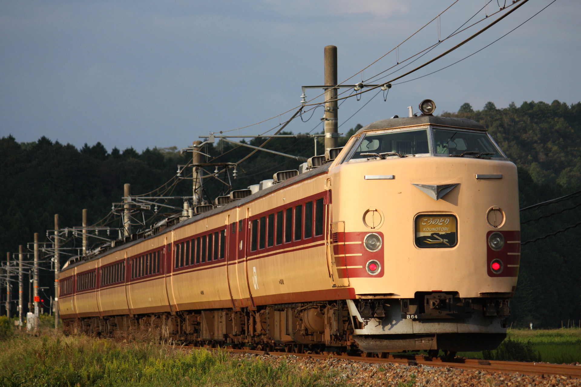 Kinki Sharyo 183 series – photo 11
