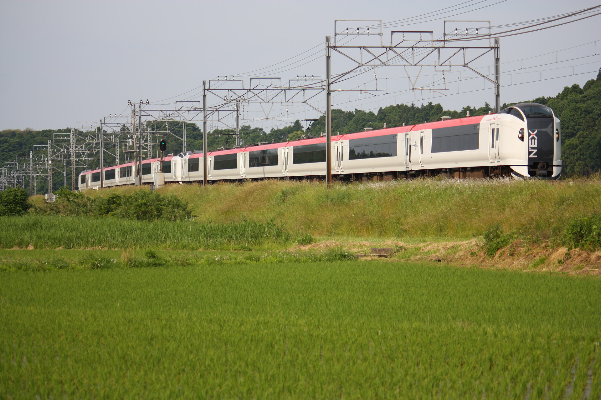 Tokyu Car E259 – photo 6