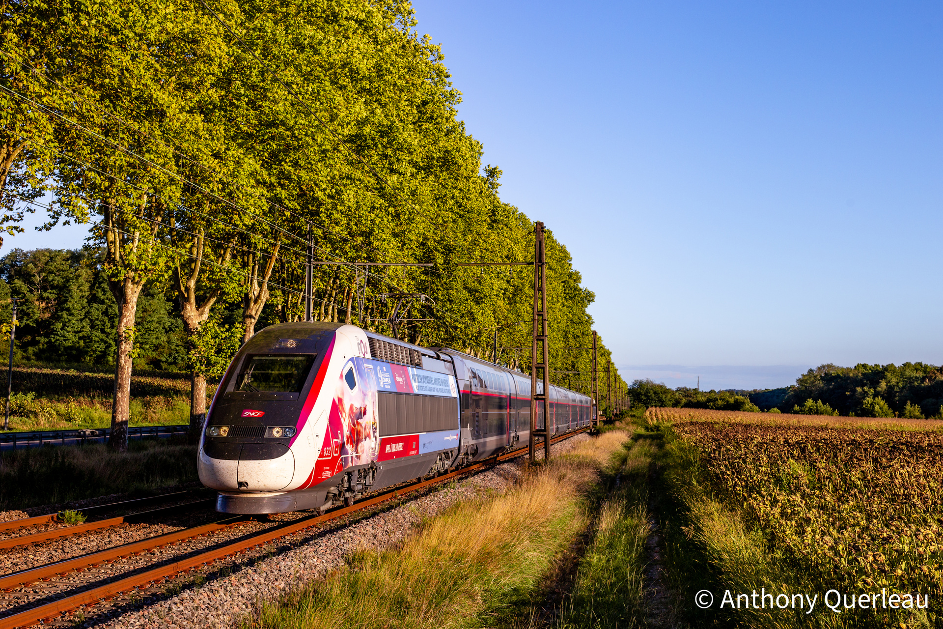 Alstom TGV 29000 – photo 4
