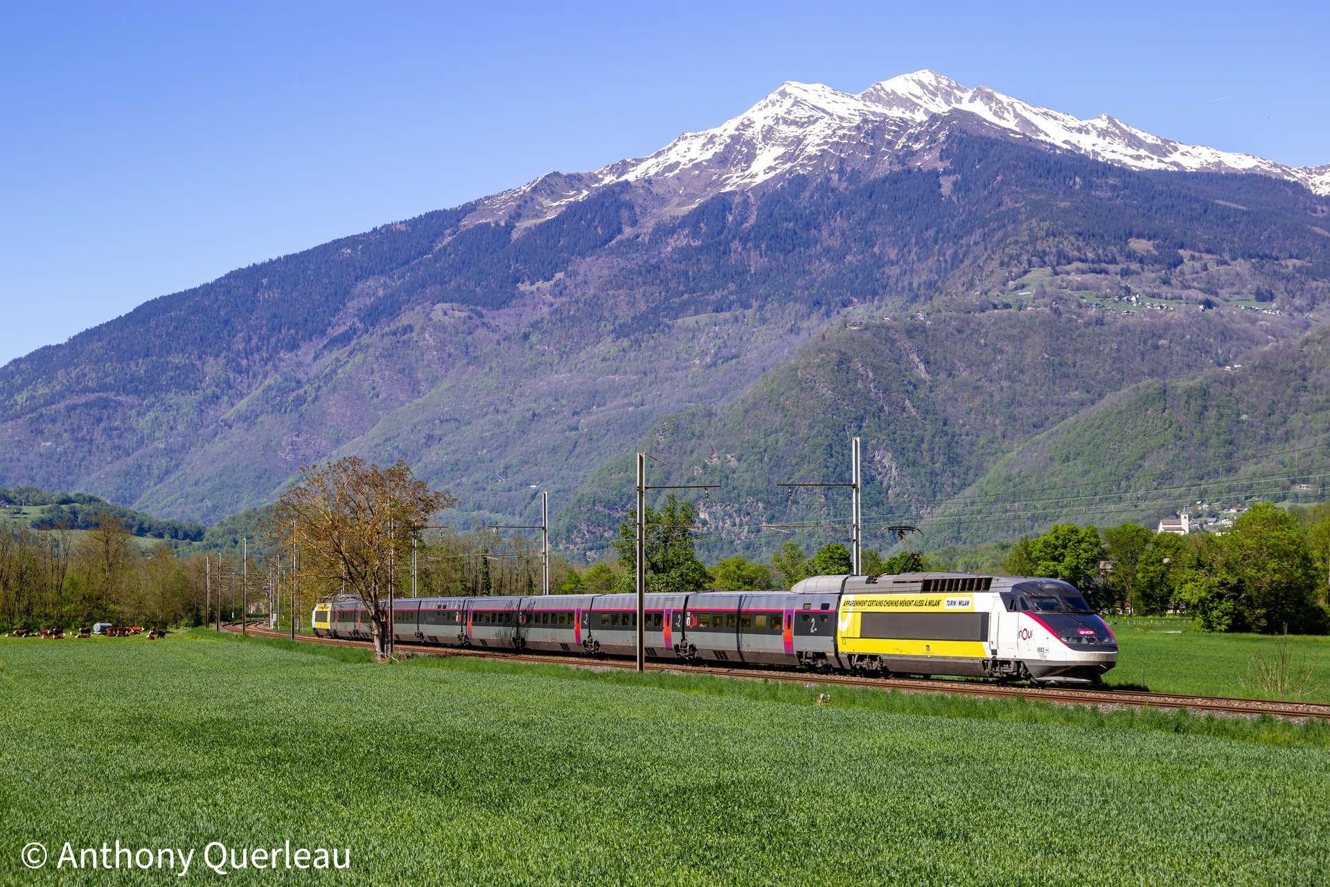 Alstom TGV-R – photo 10