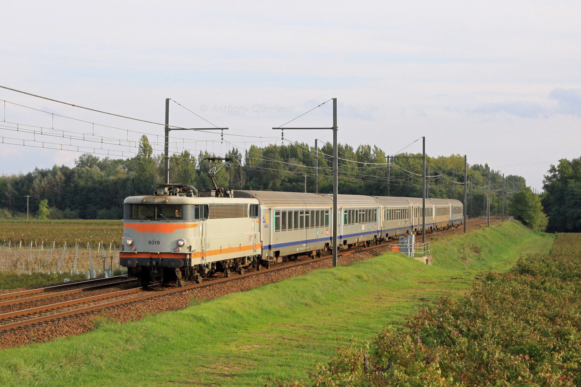 CEM BB 9300 – photo 15