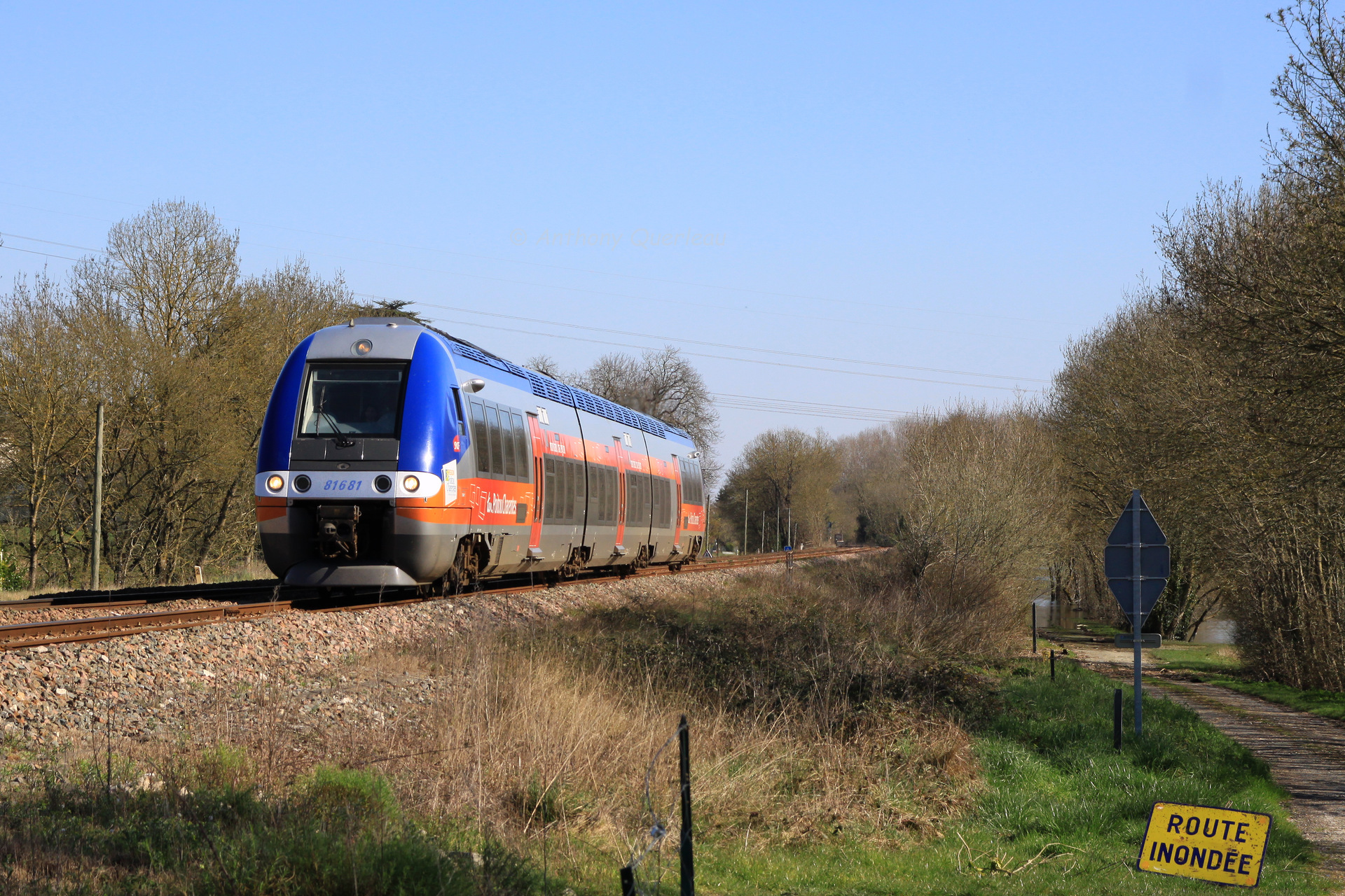 Bombardier B 81500 – photo 24