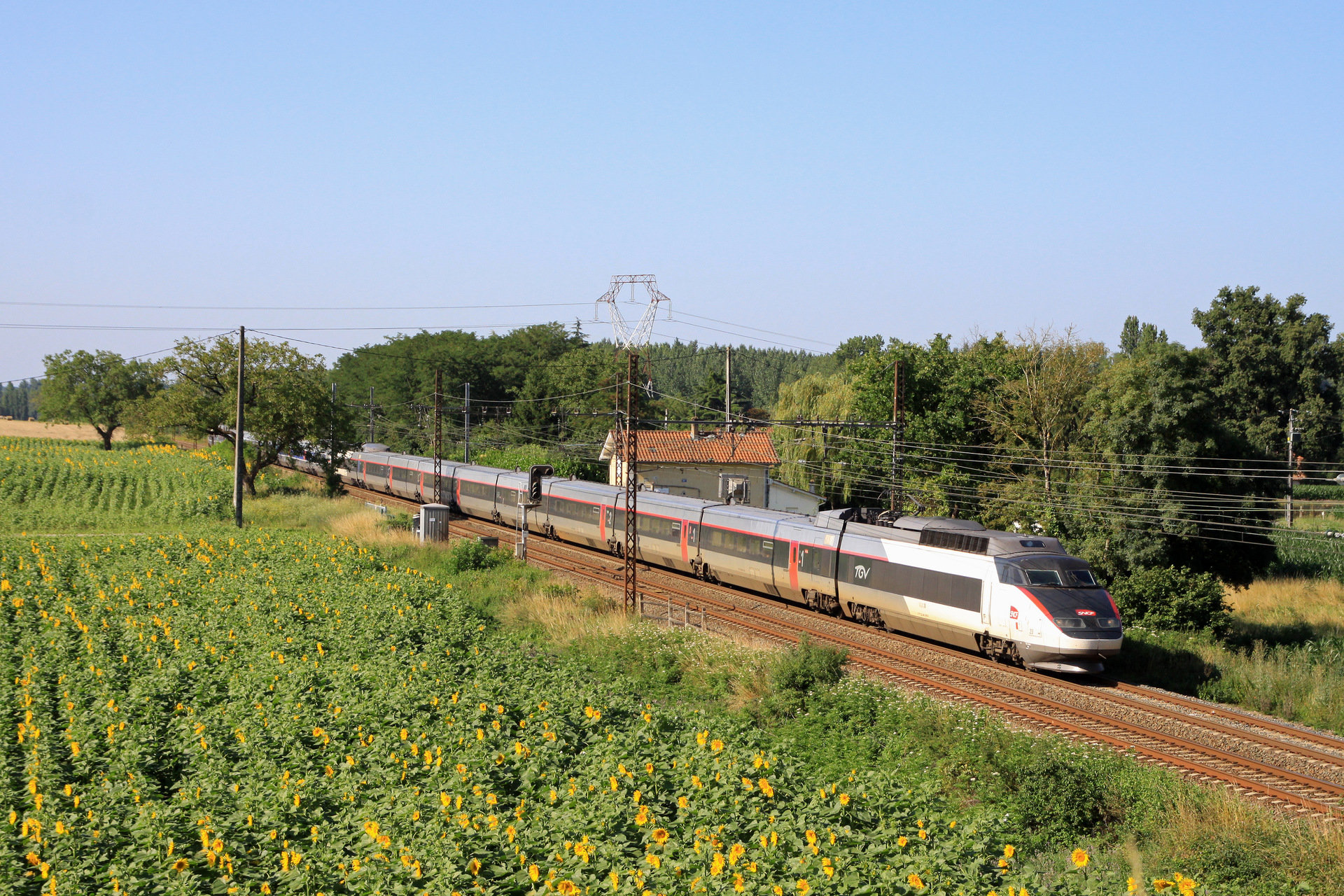 Alstom TGV Sud-Est – photo 14