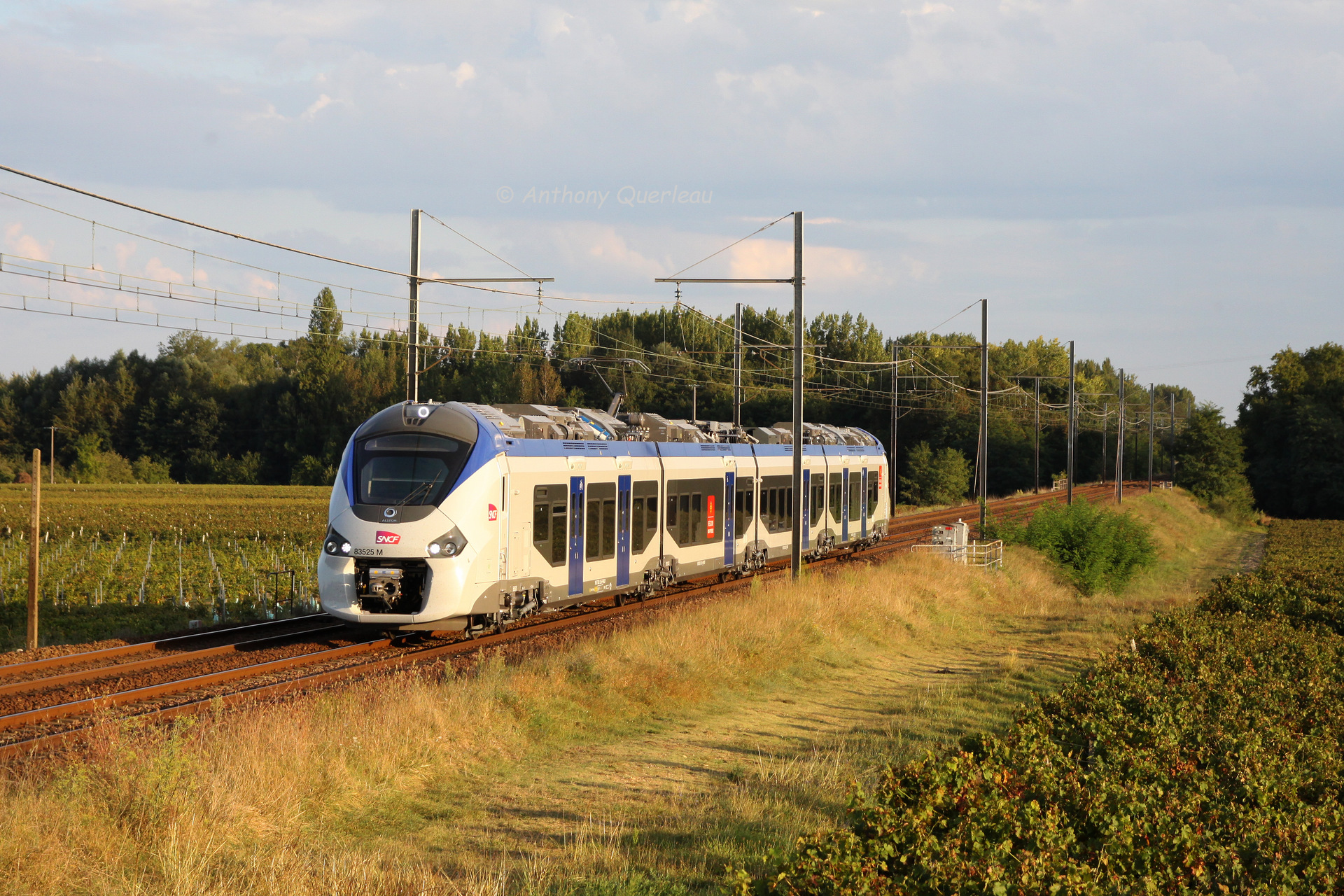 Alstom B 83500 4-car – photo 7