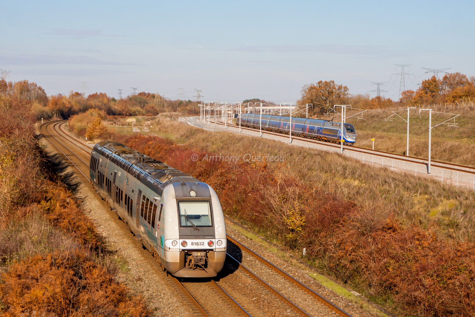Bombardier B 81500 – photo 16