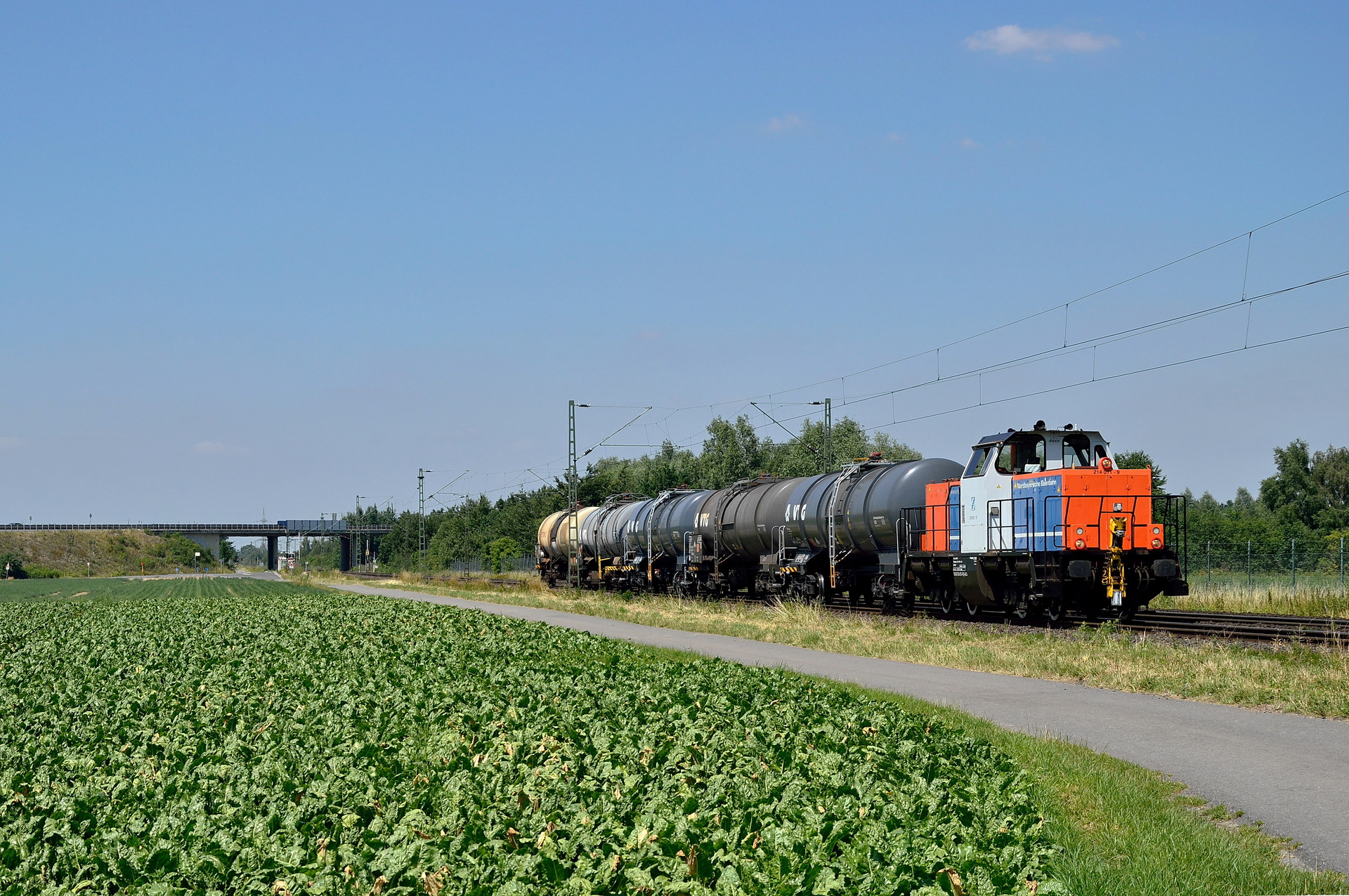 Alstom Br 214/262 – photo 5