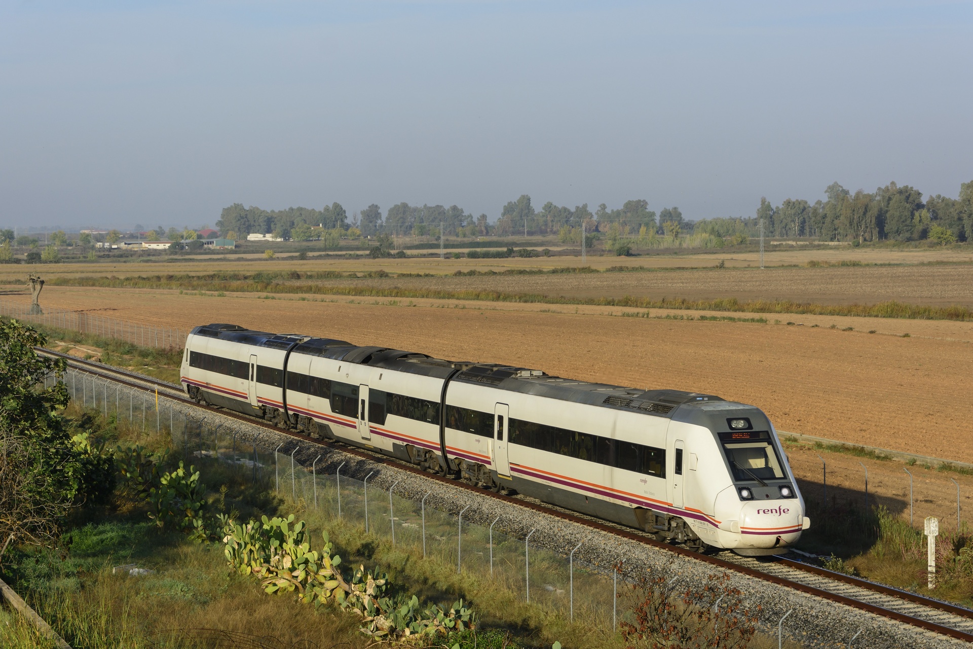 CAF 599 – foto 12