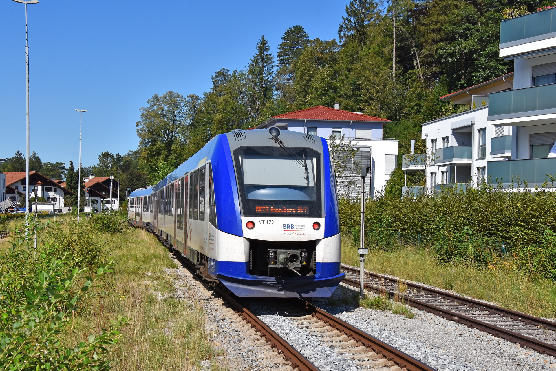 Alstom LINT 41 – photo 11
