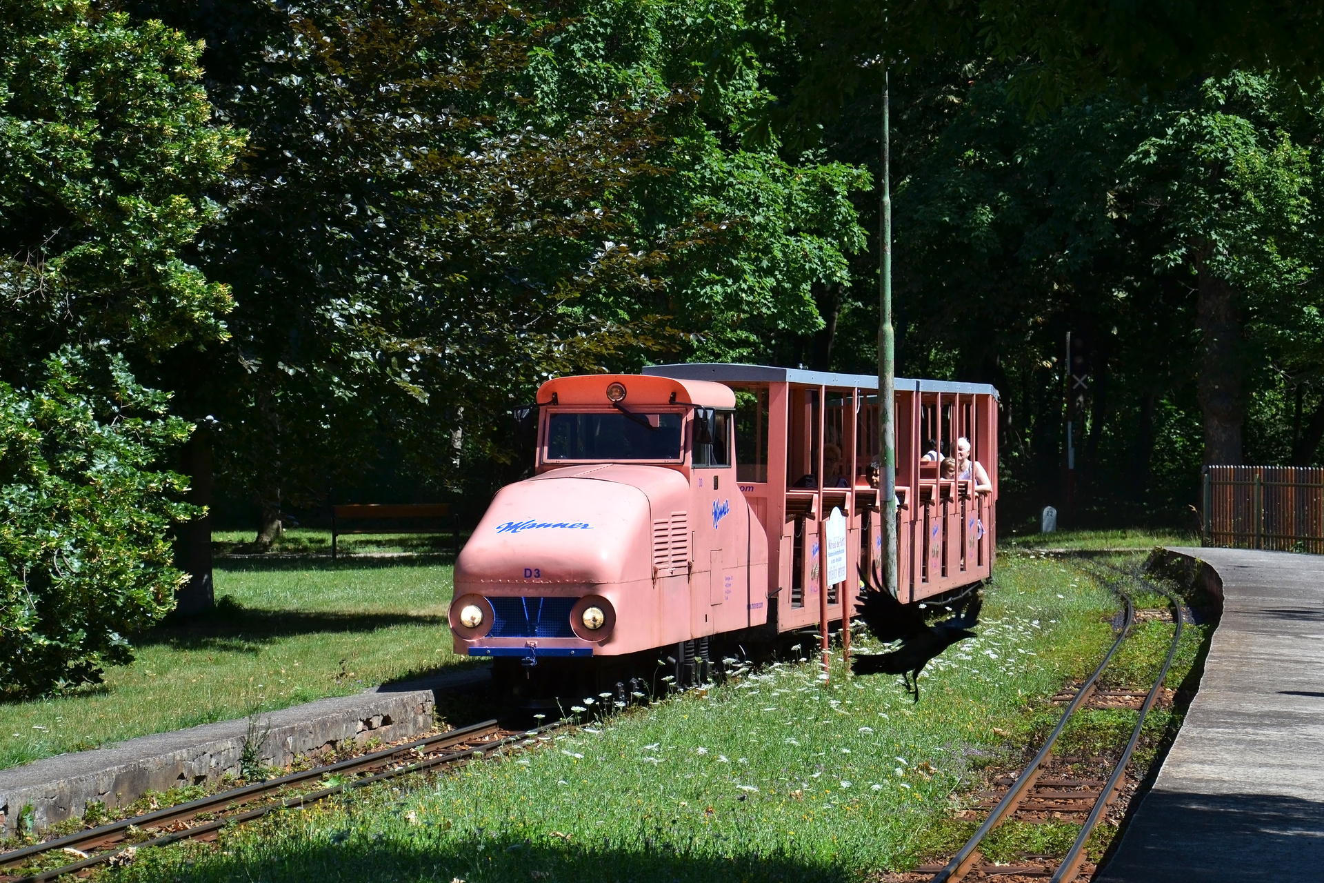 Schreiner & Son Prater D3 – photo 2