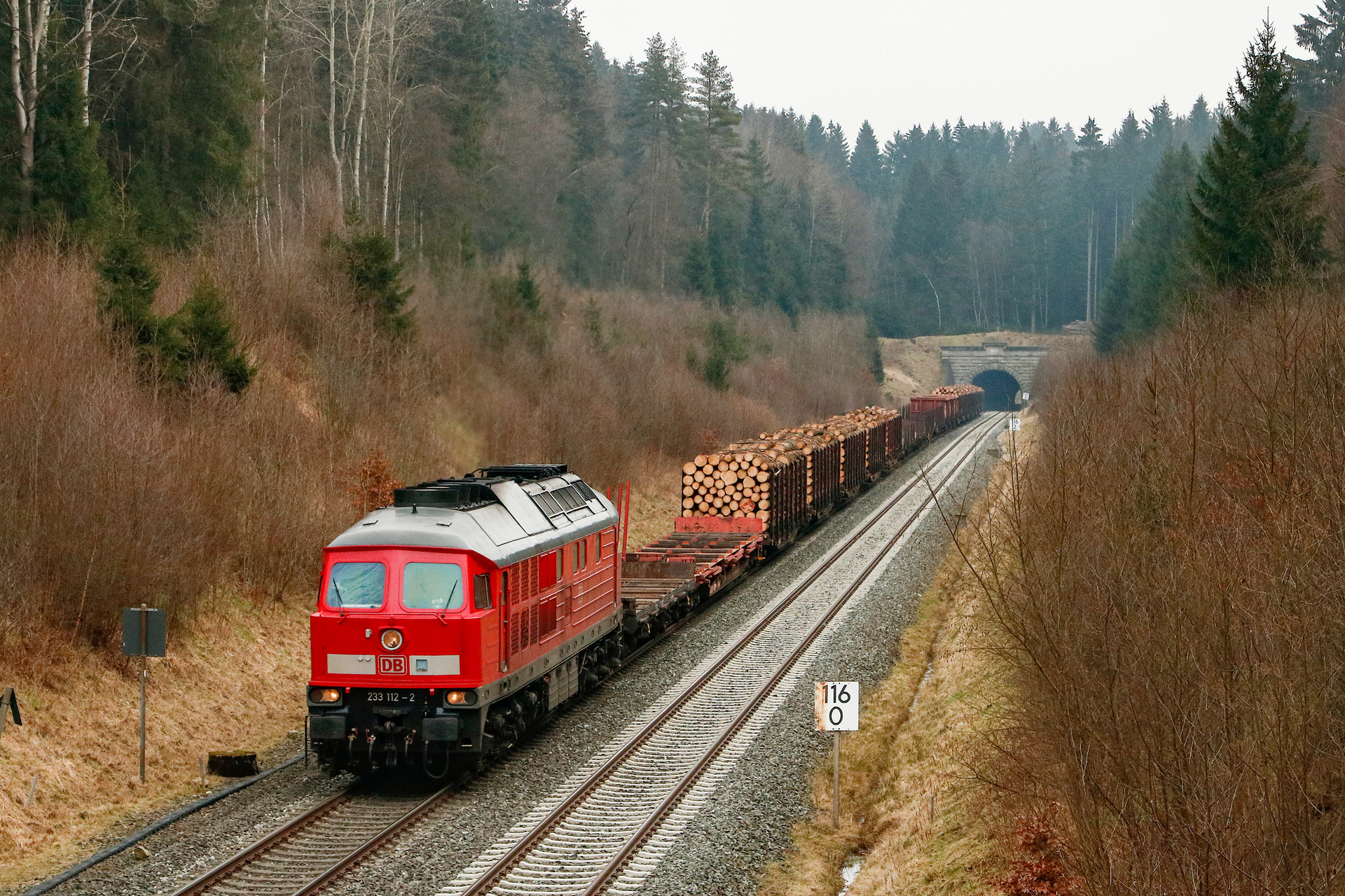 Luhanskteplovoz Br 233 – photo 10