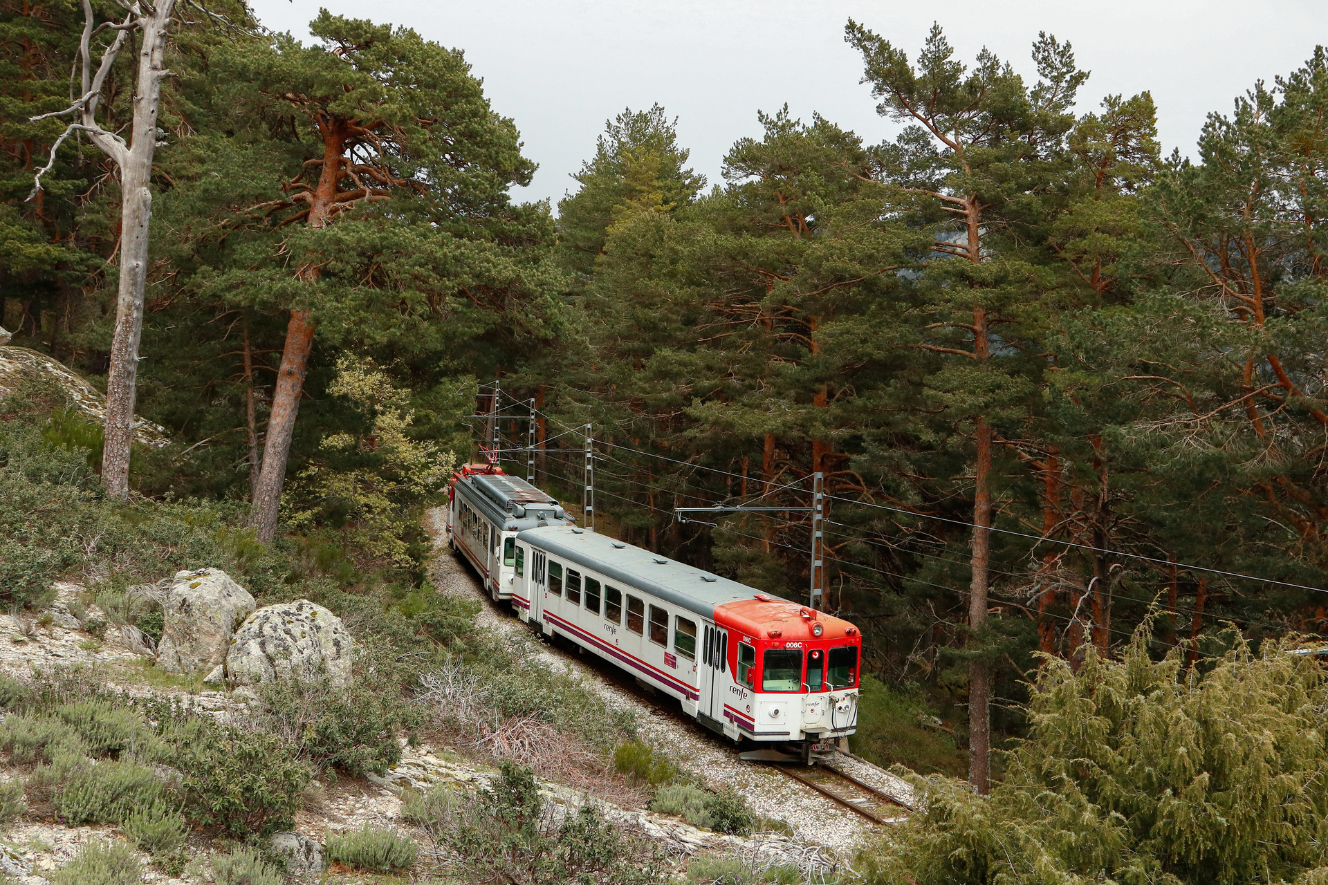 MTM RENFE 442 – photo 12
