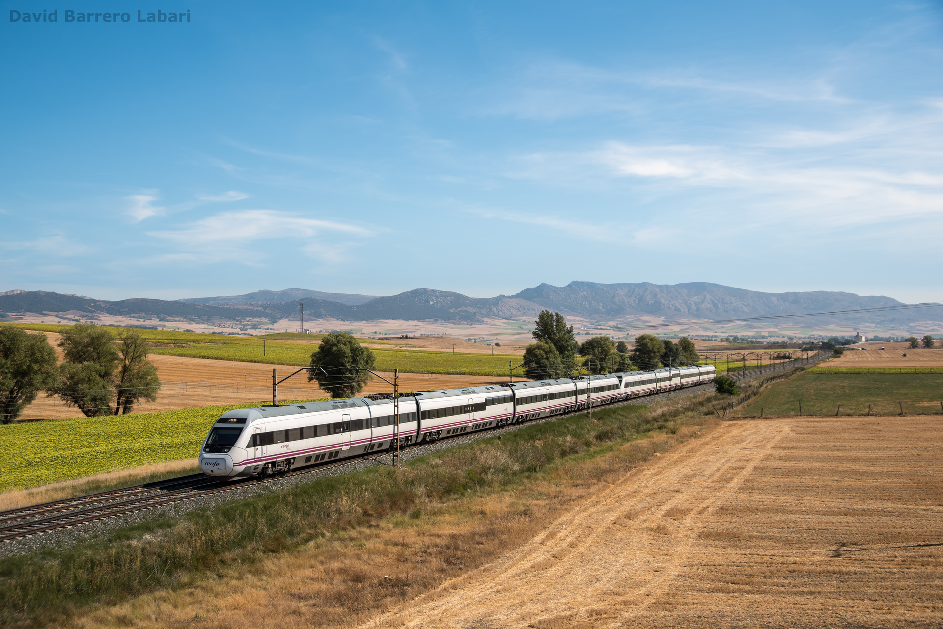 CAF RENFE 120 – photo 17