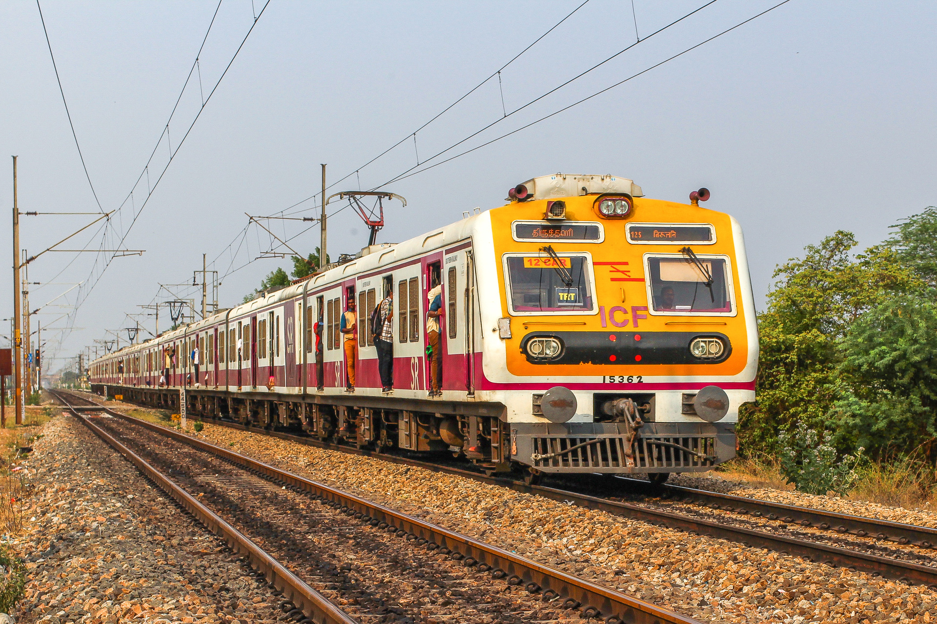 Medha IR MEDHA EMU – photo 6