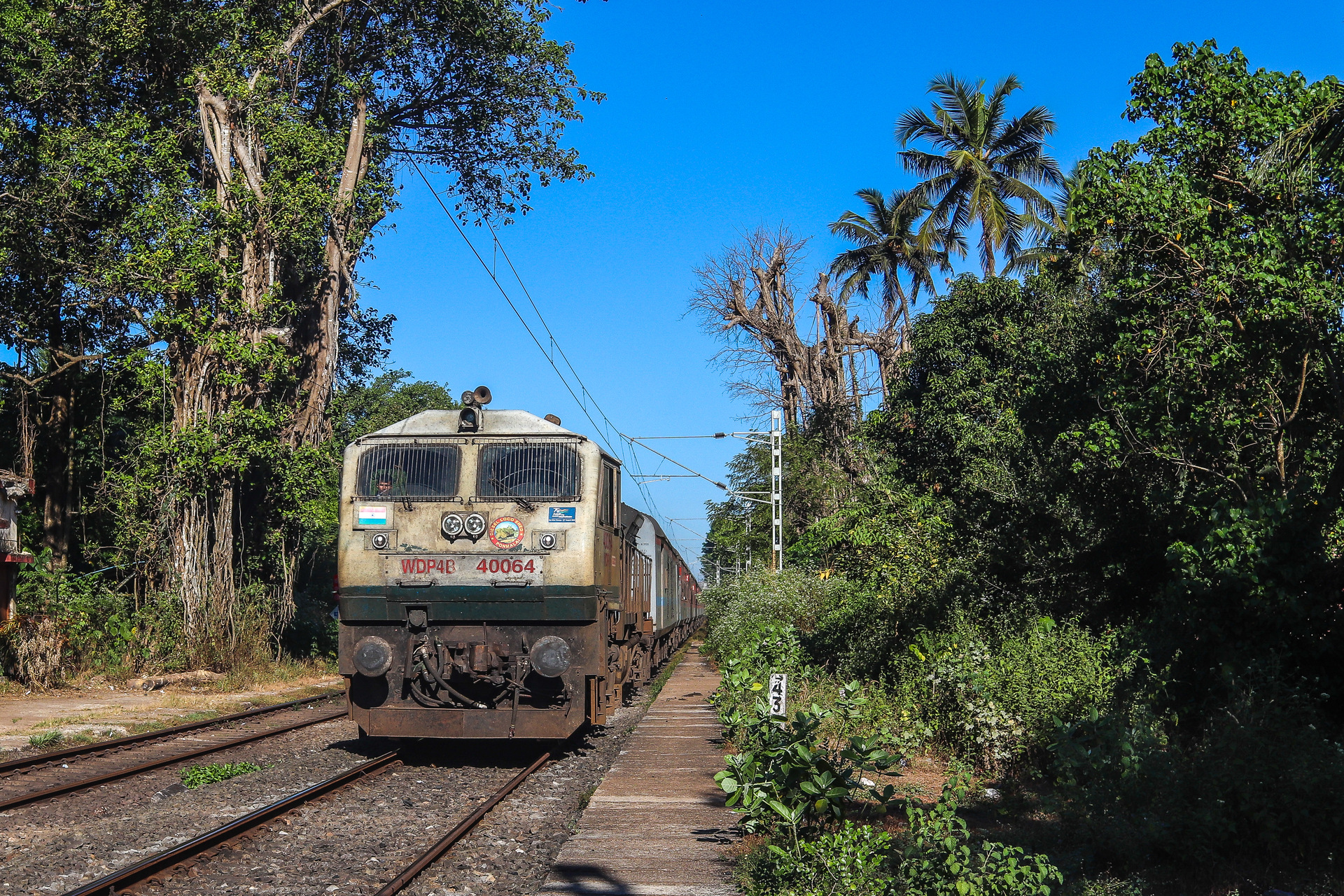 EMD GT46PAC – photo 10