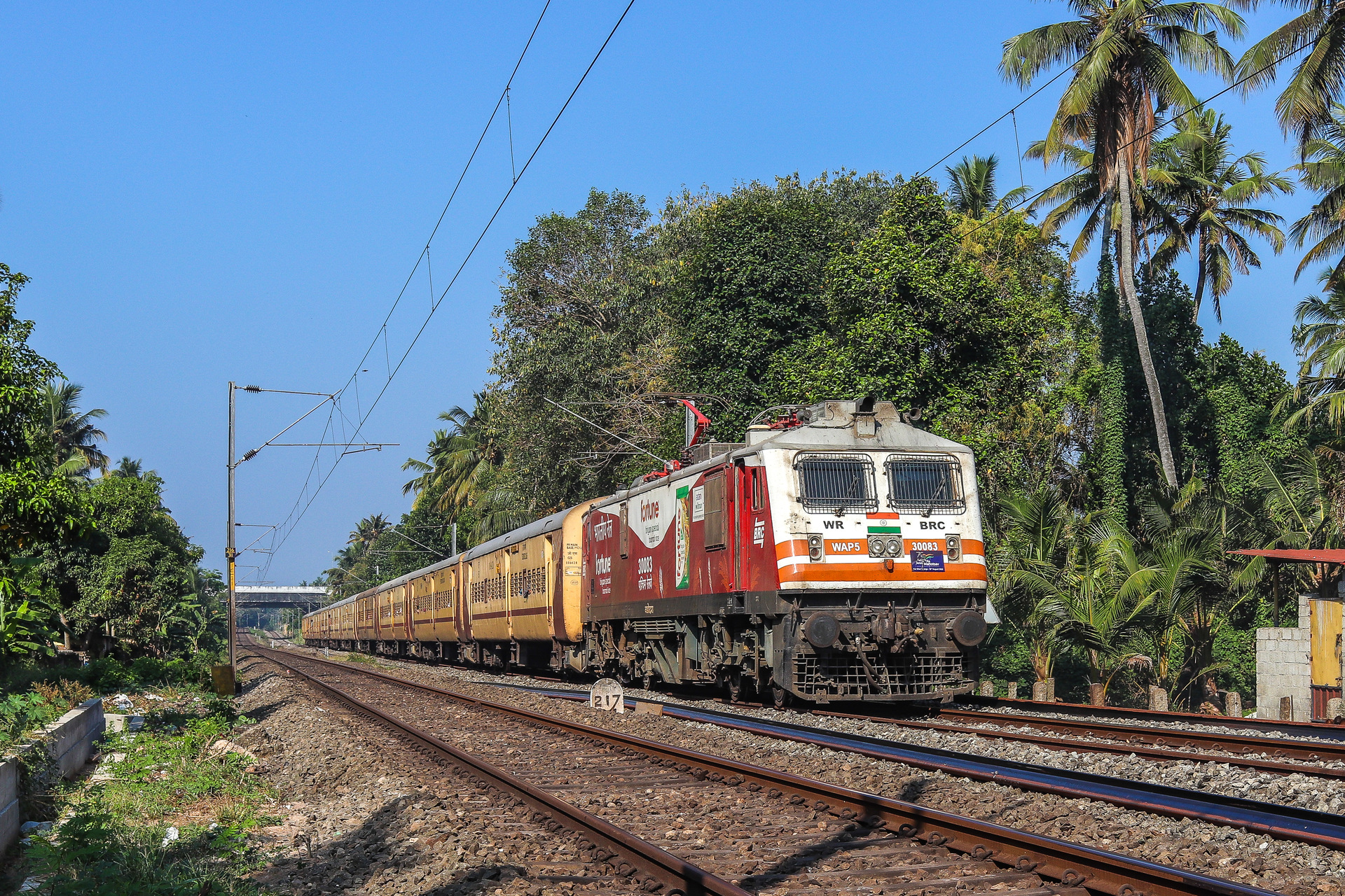 ABB WAP-5 – photo 6