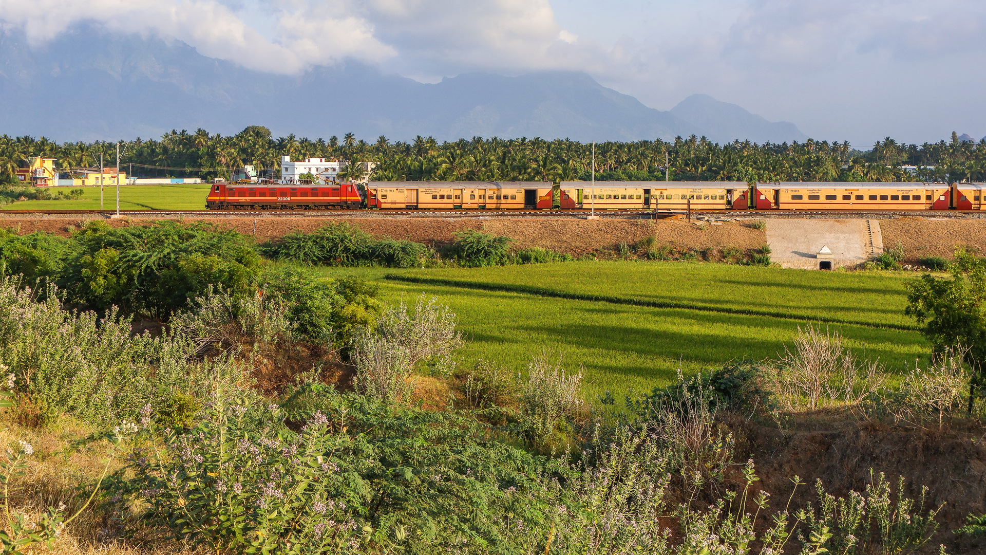 CLW WAP-4 – photo 20