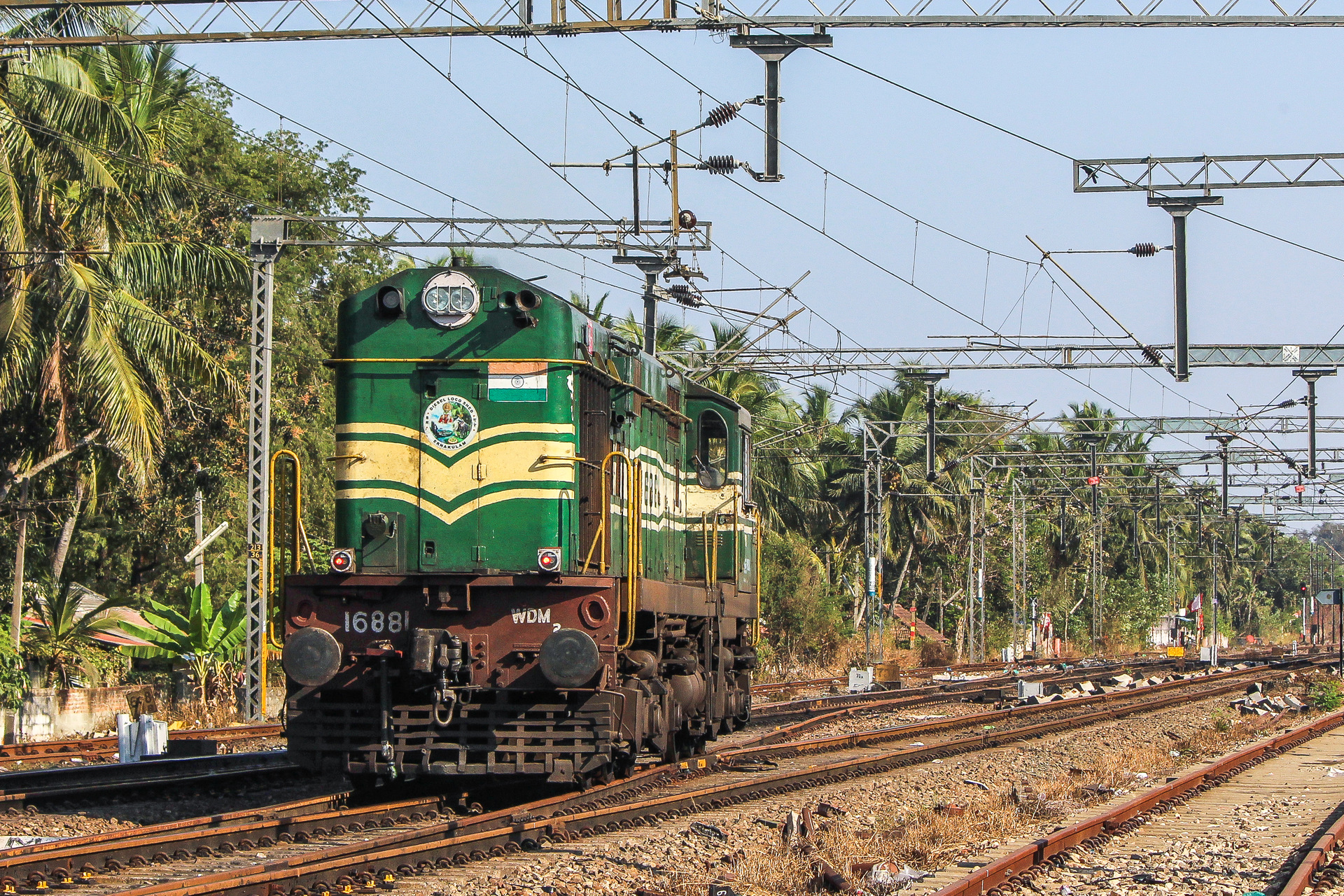 BLW DL560C – photo 6