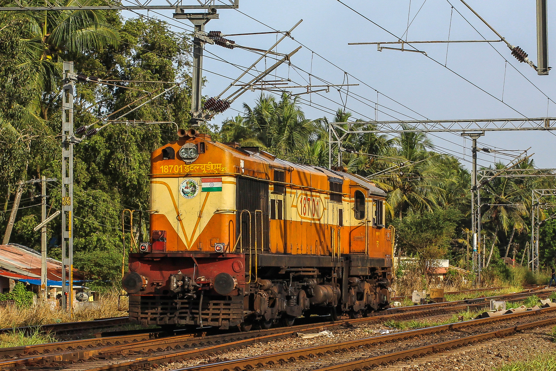 BLW DL560C – photo 4