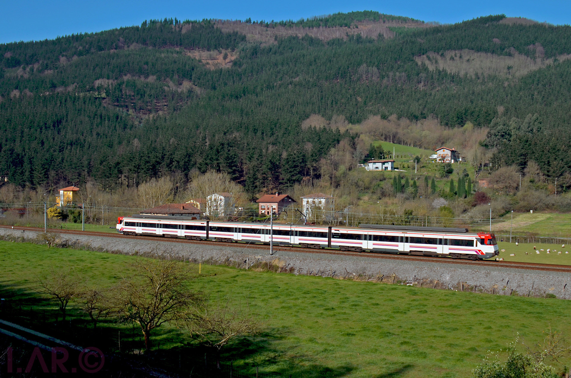 CAF RENFE 446 – photo 15