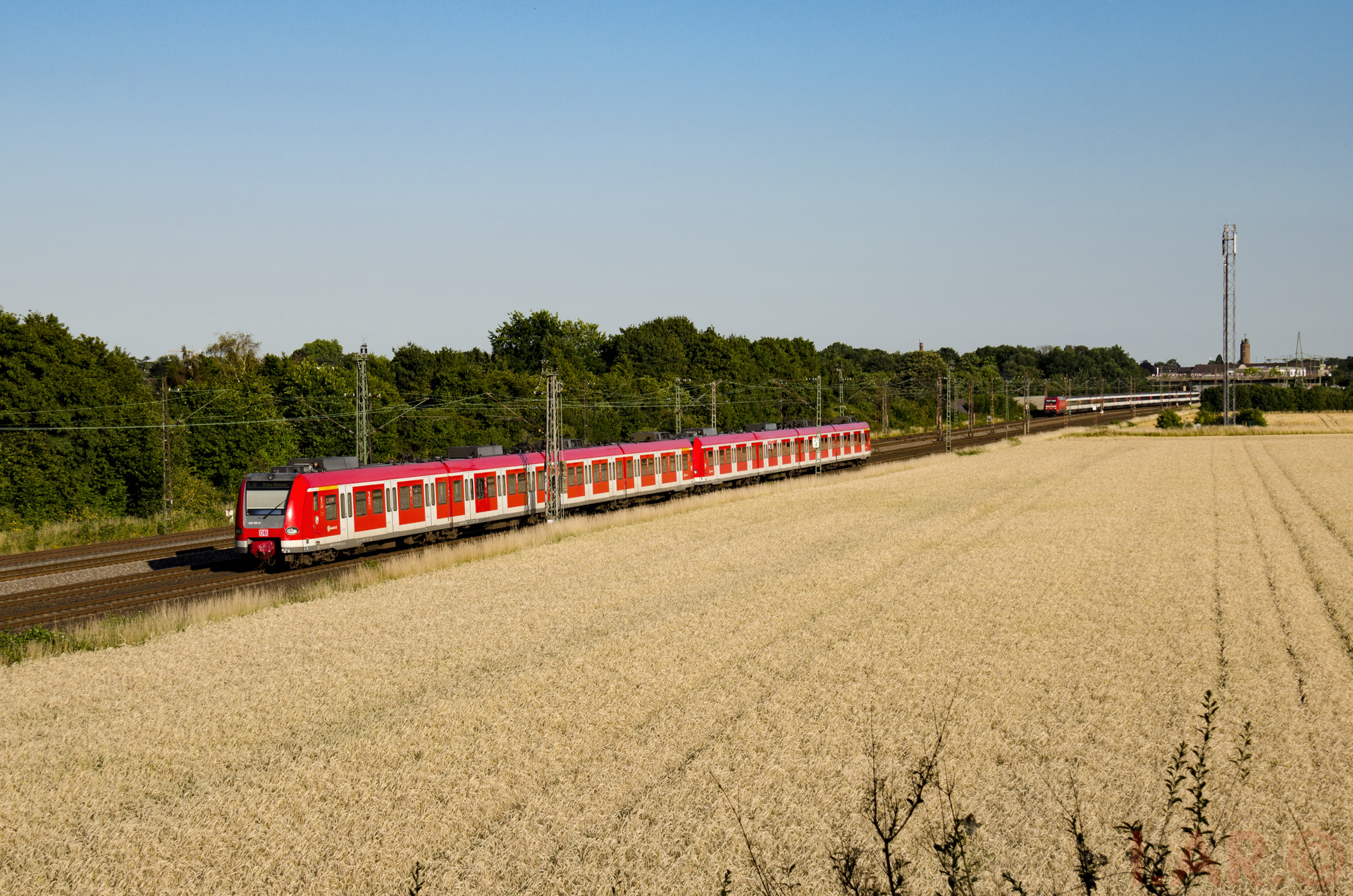Bombardier DB 423 – photo 20