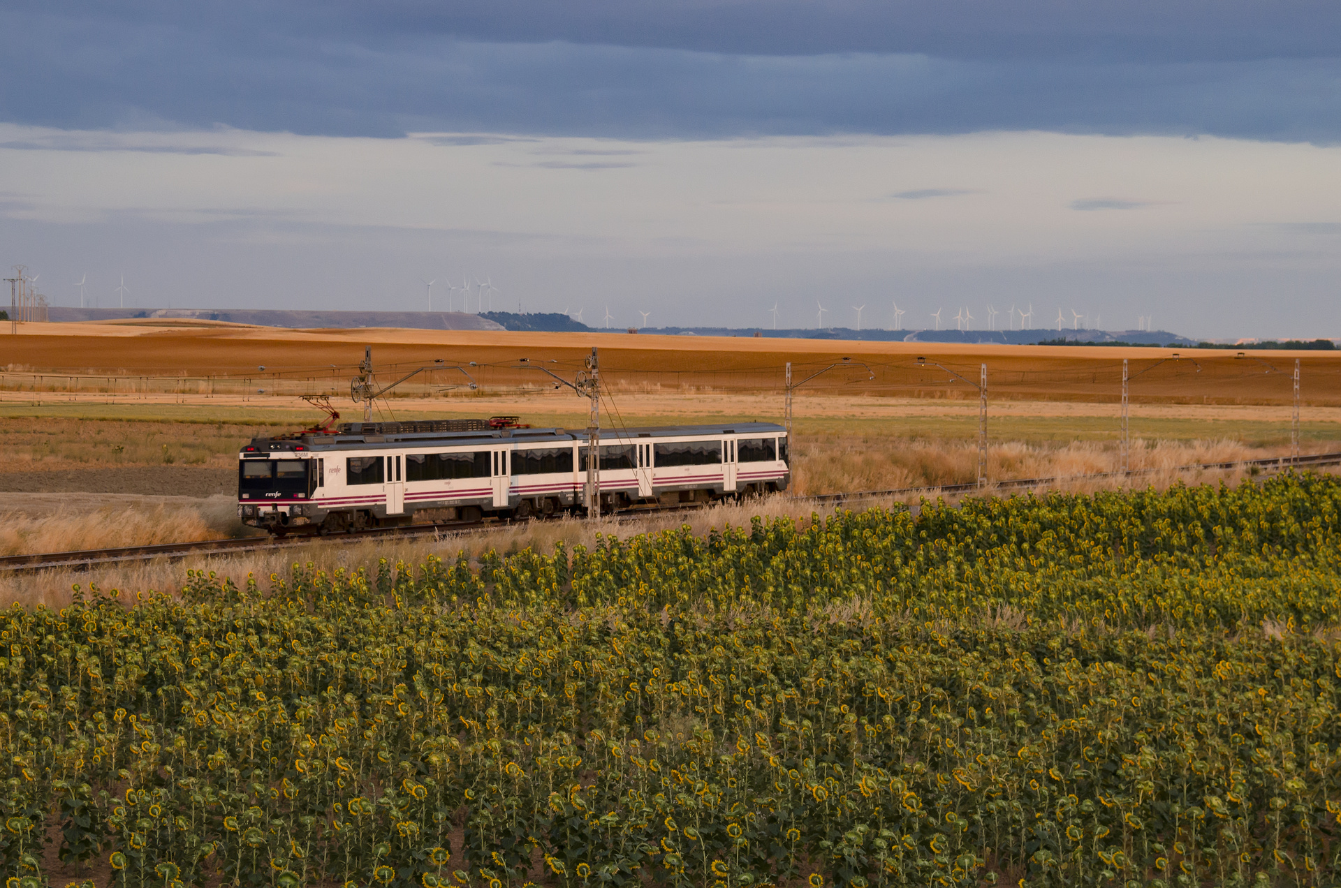 CAF RENFE 440 – photo 12