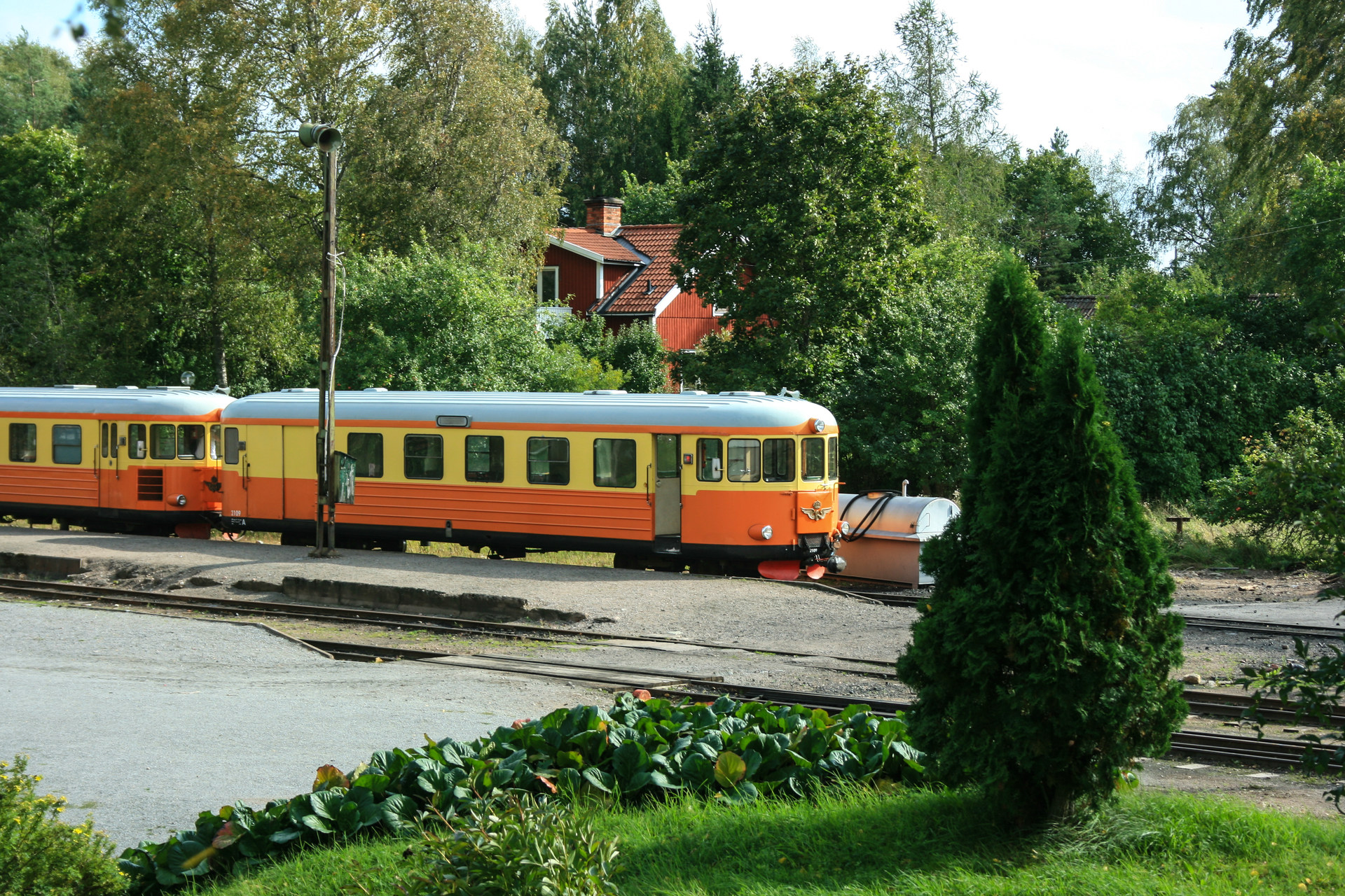 Hilding Carlsson YBo5p – photo 5