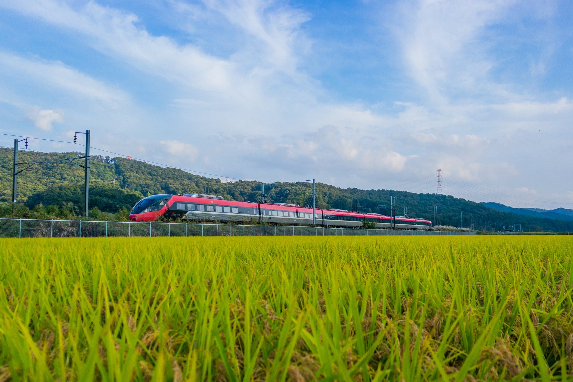 Hyundai Rotem Korail 210000 – photo 8