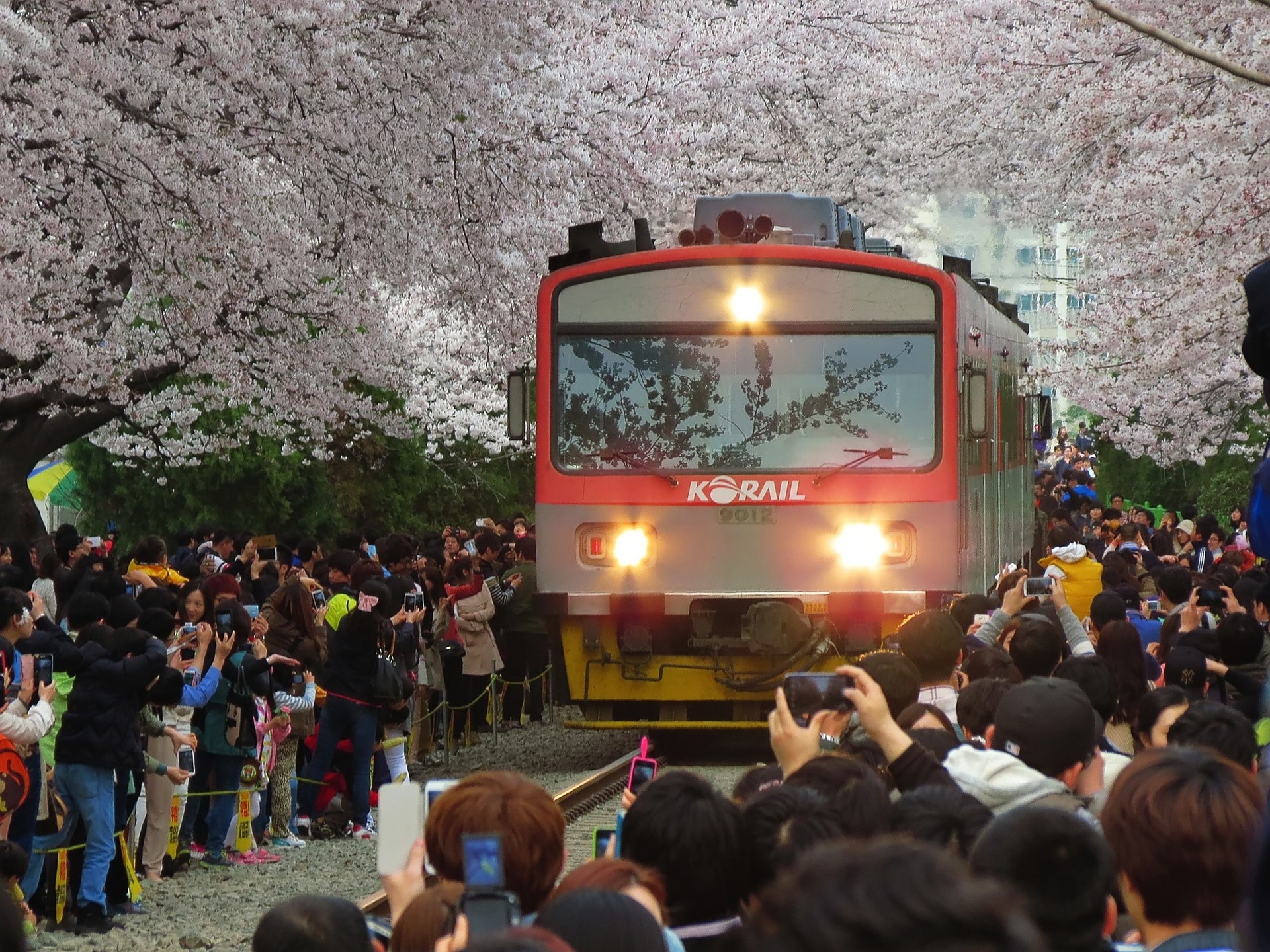 Daewoo Korail 9000 – foto 6