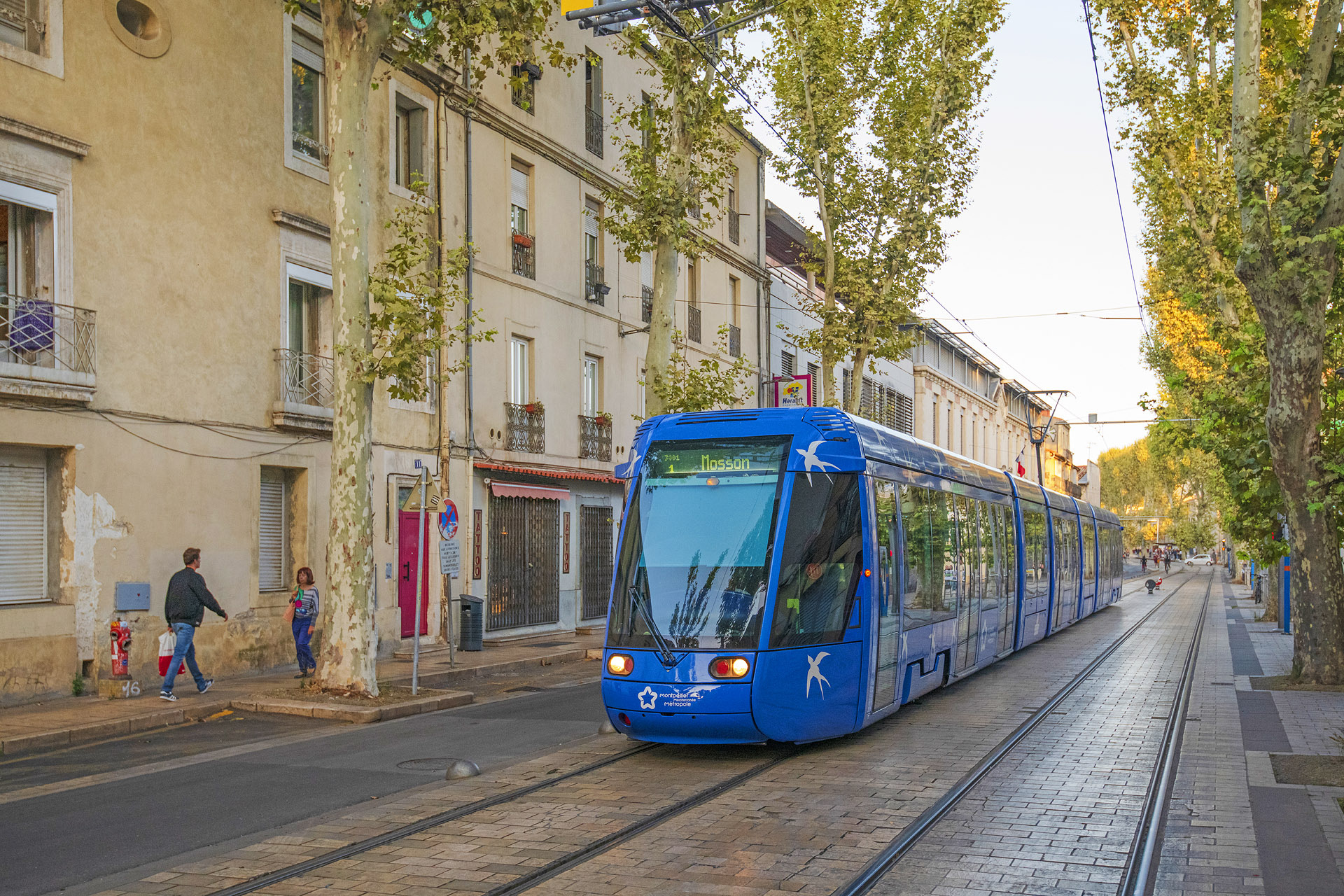 Alstom Citadis 401 – photo 2