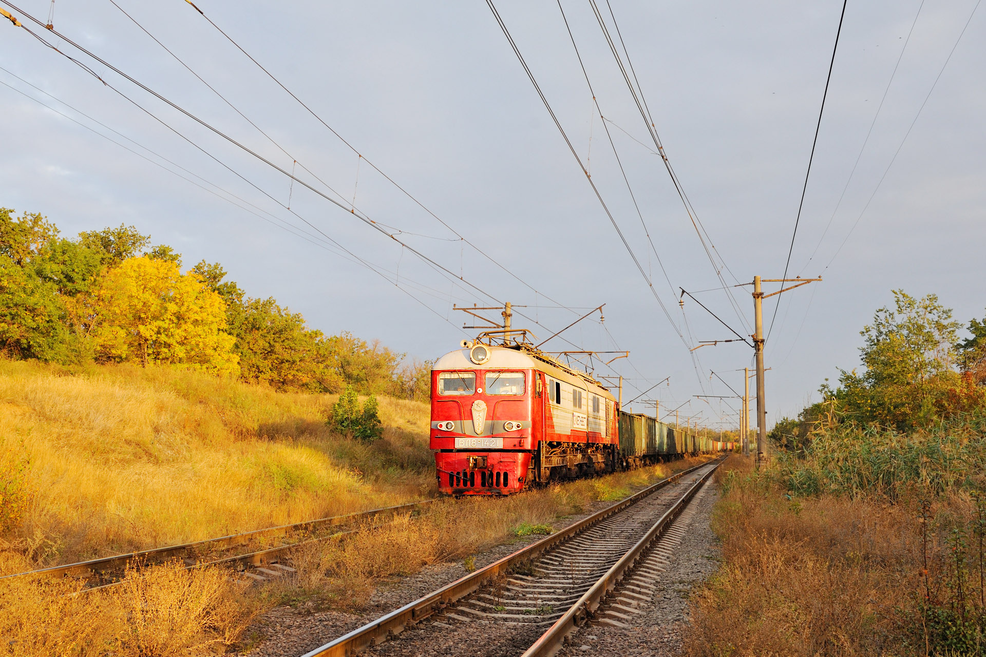 NEVZ VL8M – foto 24