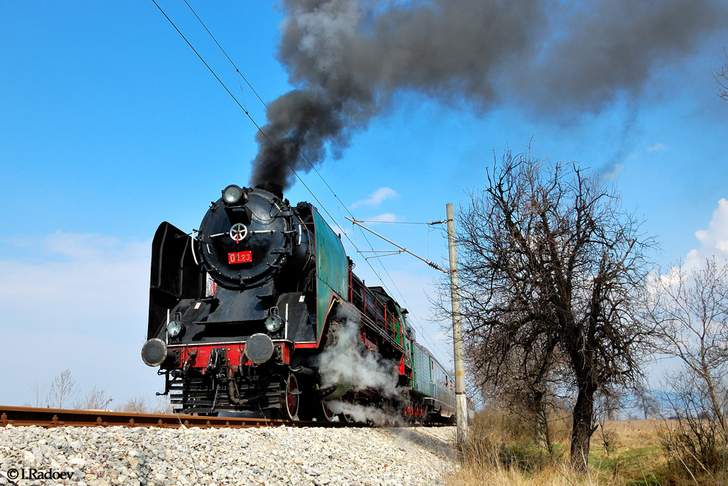 SLM 2-8-2 (BDZh) – photo 6