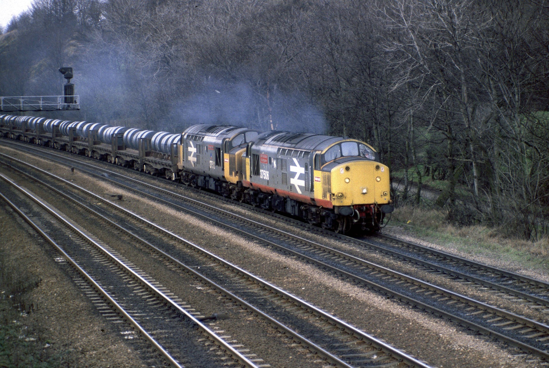 English Electric 37/5 – foto 12