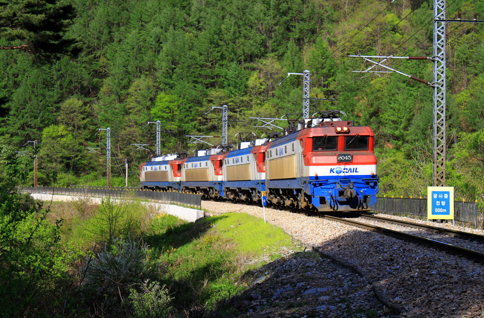 Alstom Korail 8000 – photo 19