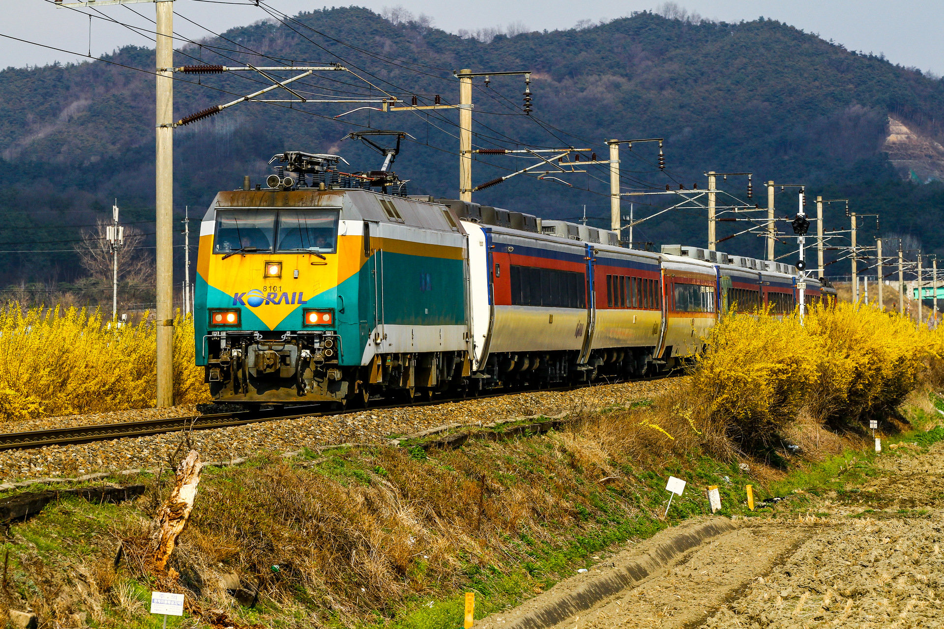 Daewoo Korail 8100 – Foto 3