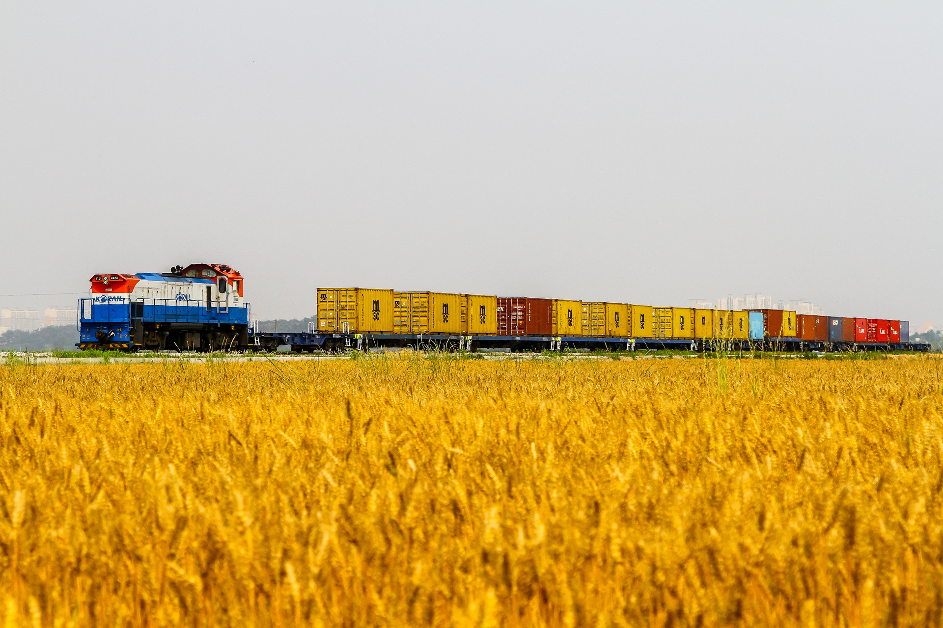 Hyundai Rotem Korail 4400 – photo 3