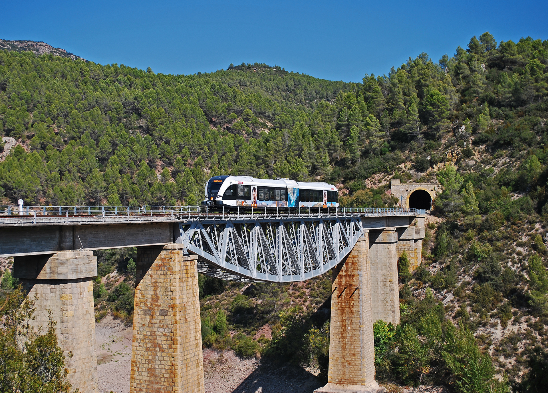 Stadler FGC 331 – photo 15