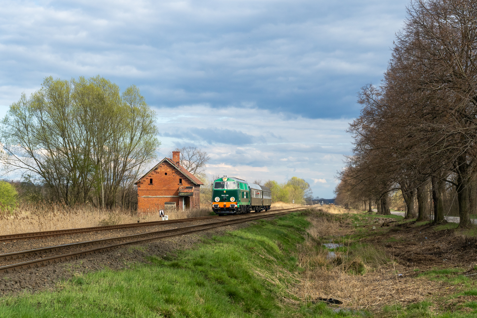 Cegielski 301D – photo 2