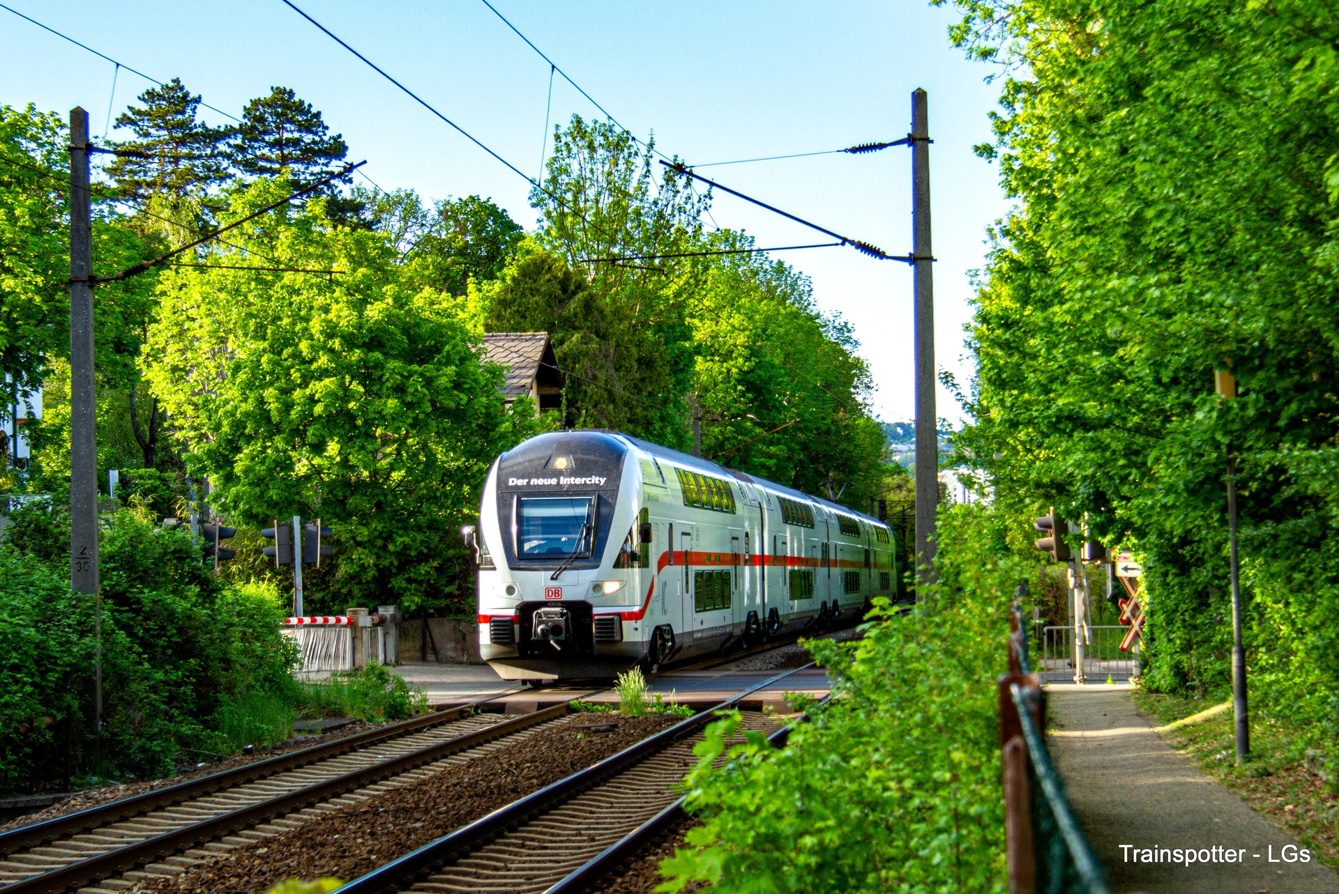 Stadler WB 4110 – photo 11