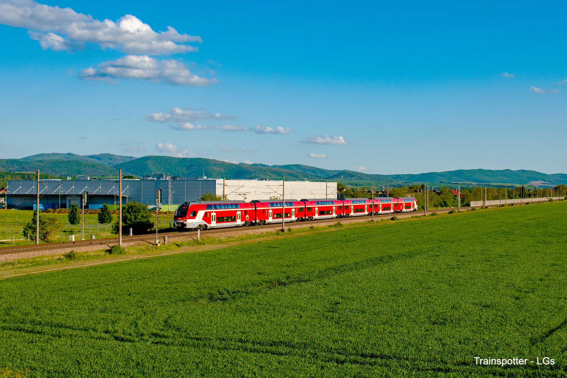 Stadler MAV 815 – photo 18