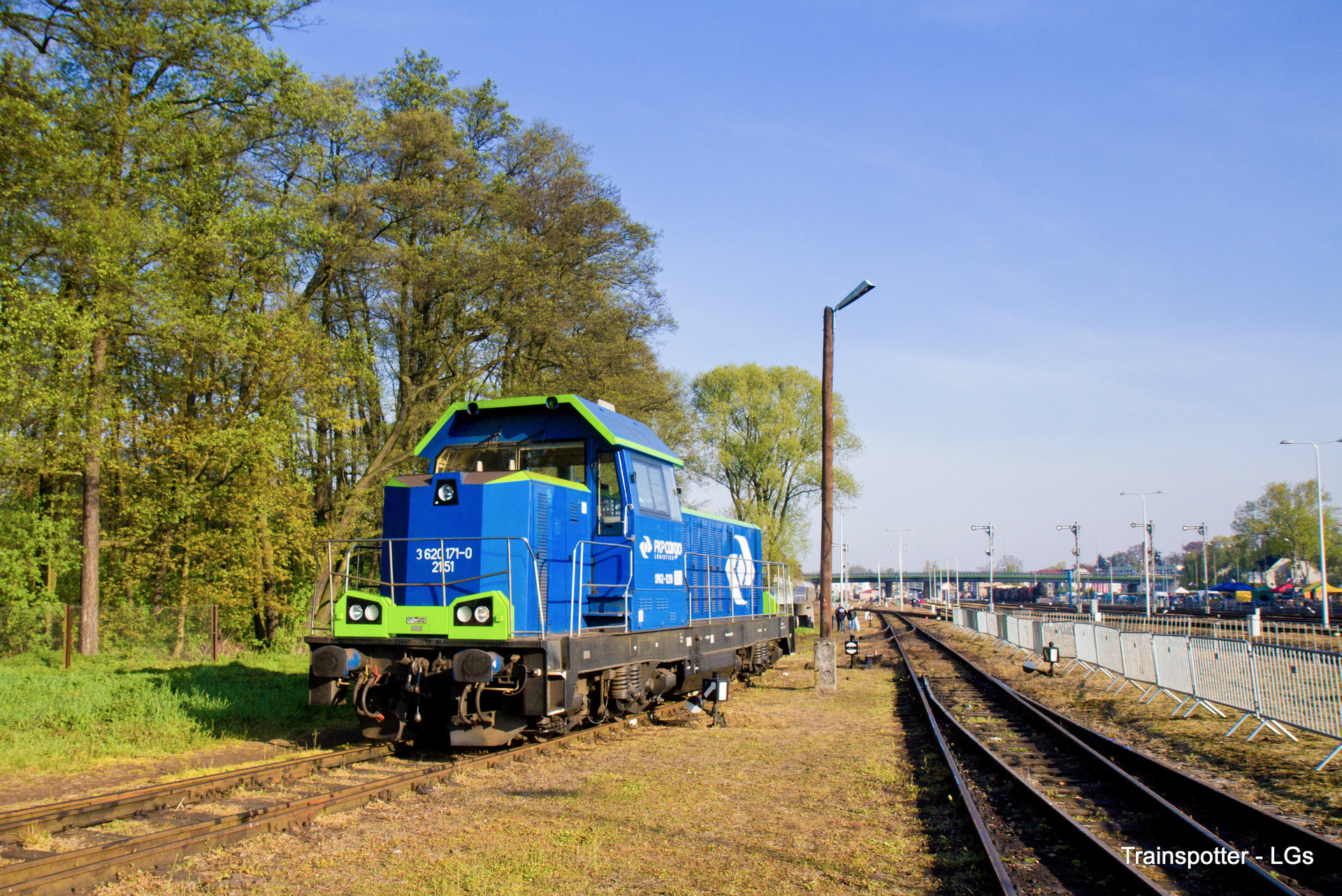 Newag 6Dg – photo 15