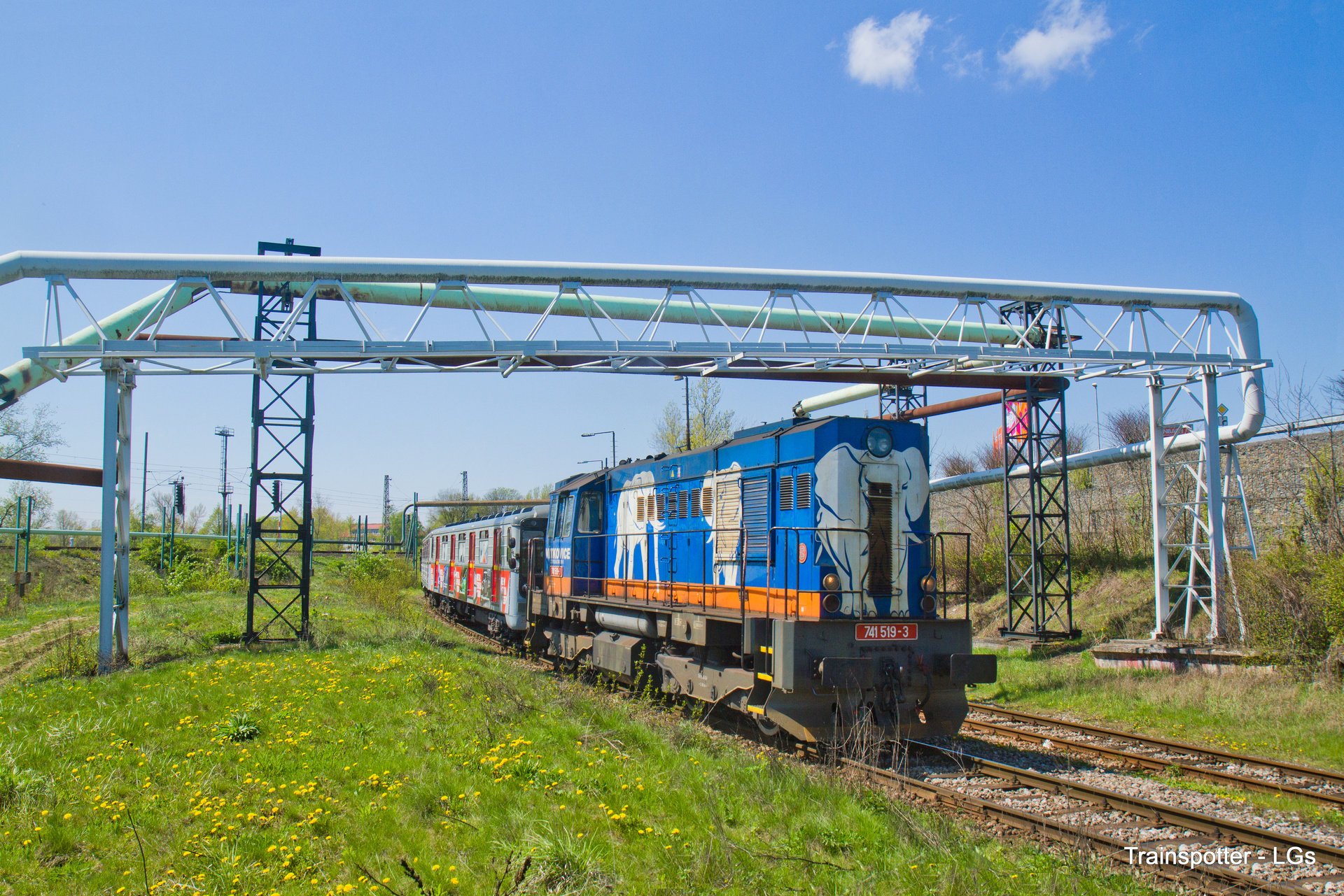 CZ LOKO 741.5 – photo 5
