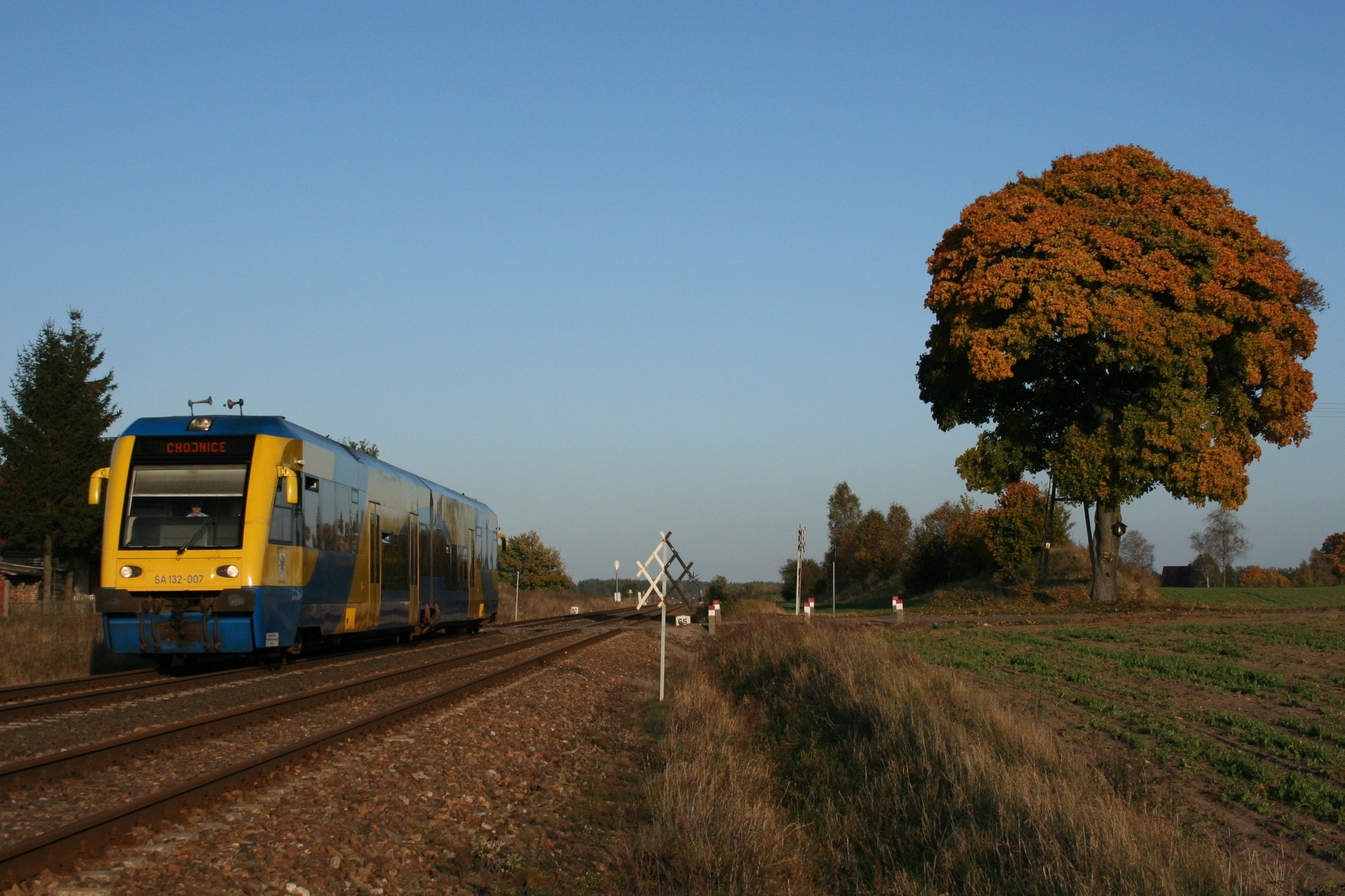 PESA SA132 – foto 5