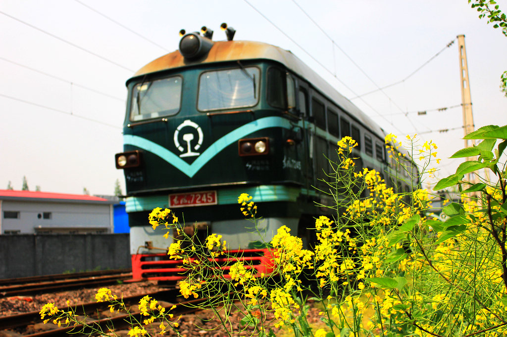 CRRC Qingdao Sifang DF4B – photo 17